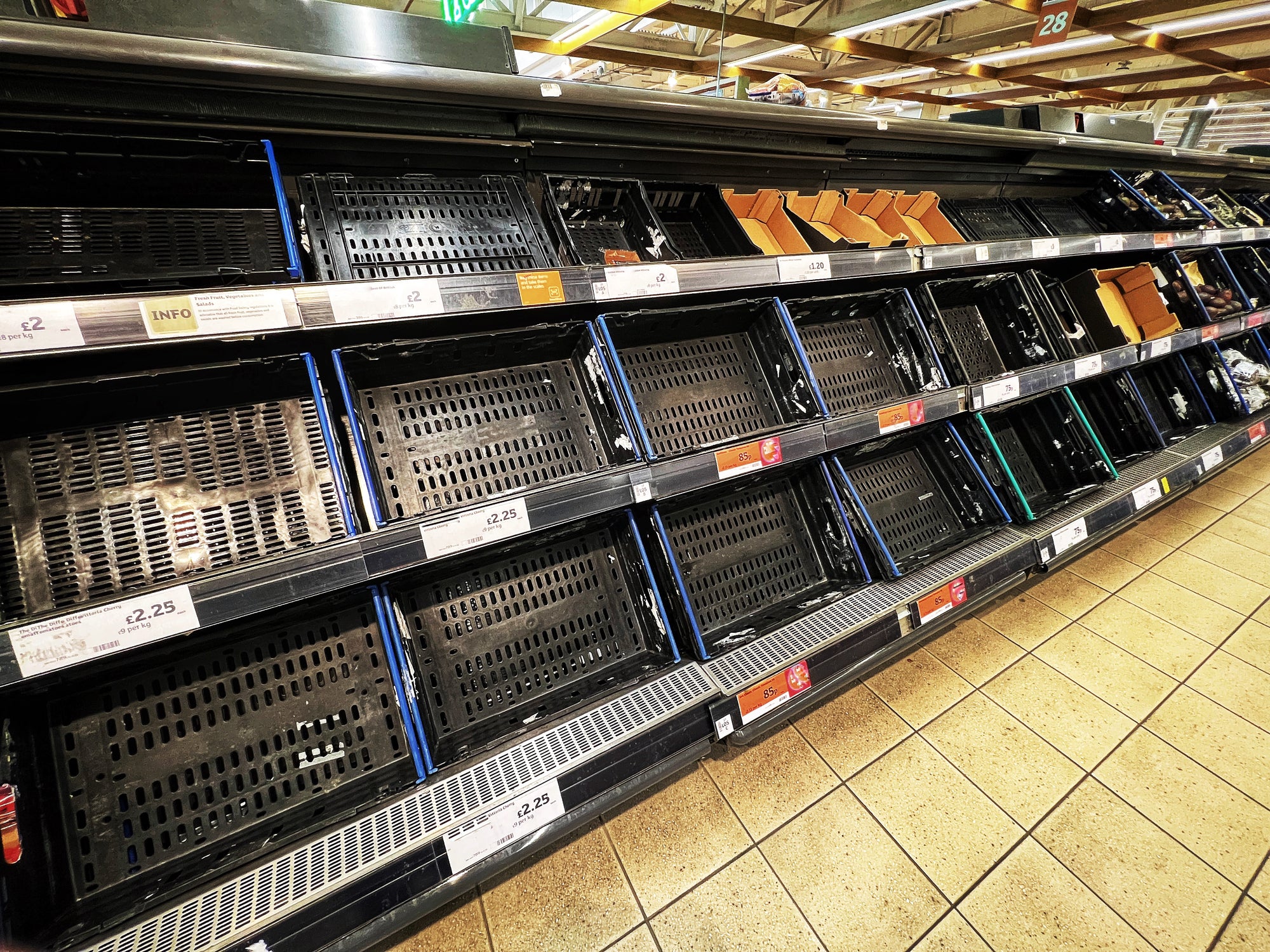 The great British food shortage: Why your weekly shop is about to get worse