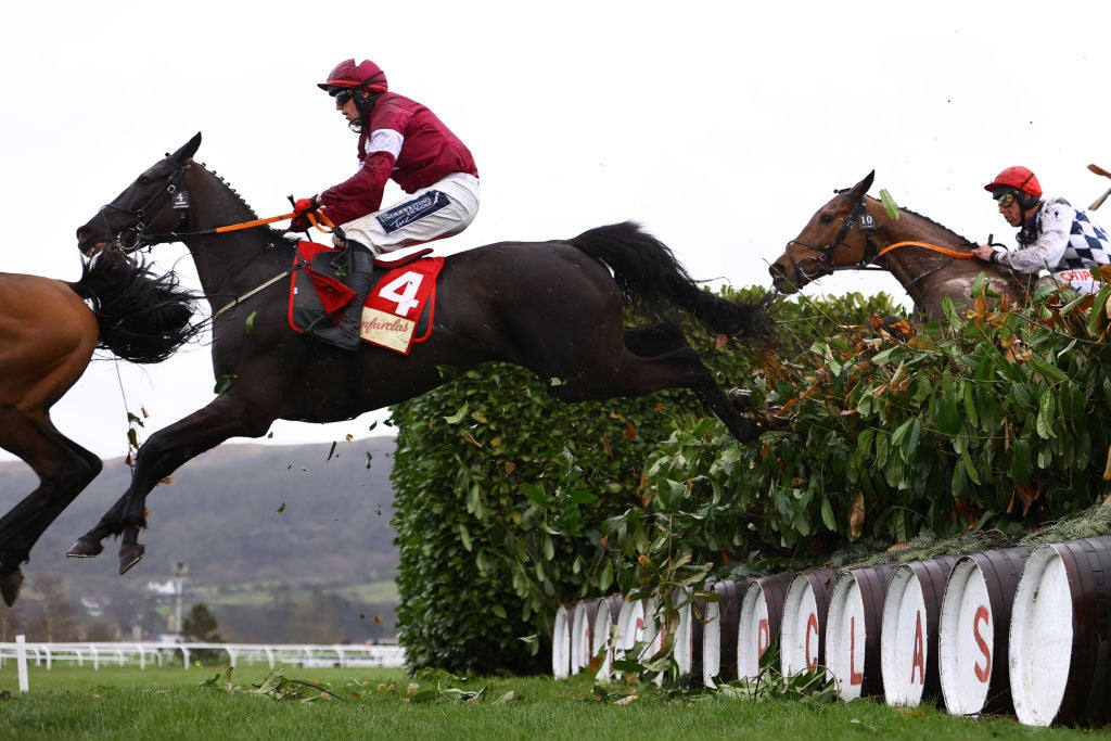 Delta Work was last year's Grand National runner-up