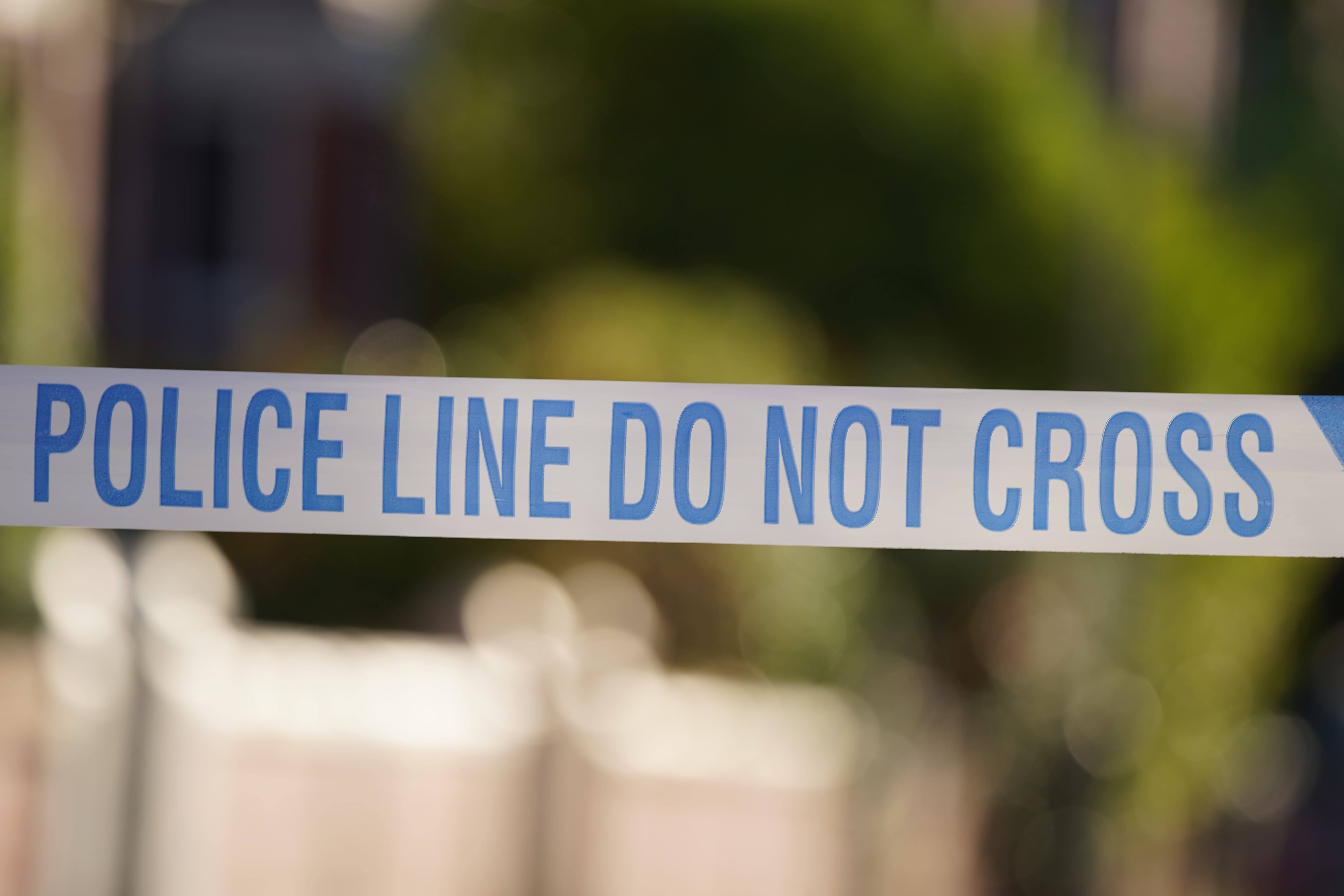 Arrests were made in Dundee and Birmingham (PA)