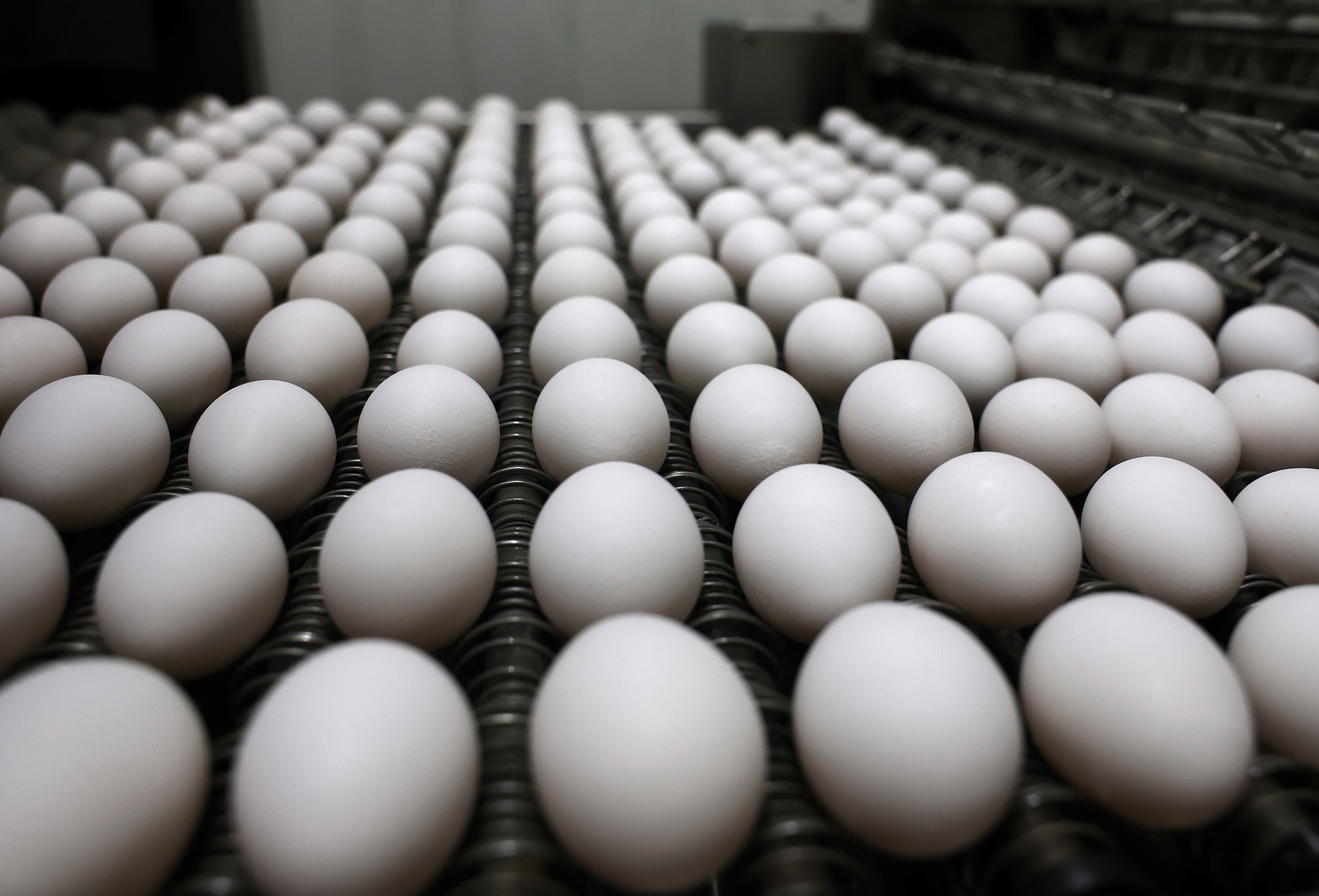 The USDA projects that the price of eggs will rise by 41 percent during 2025