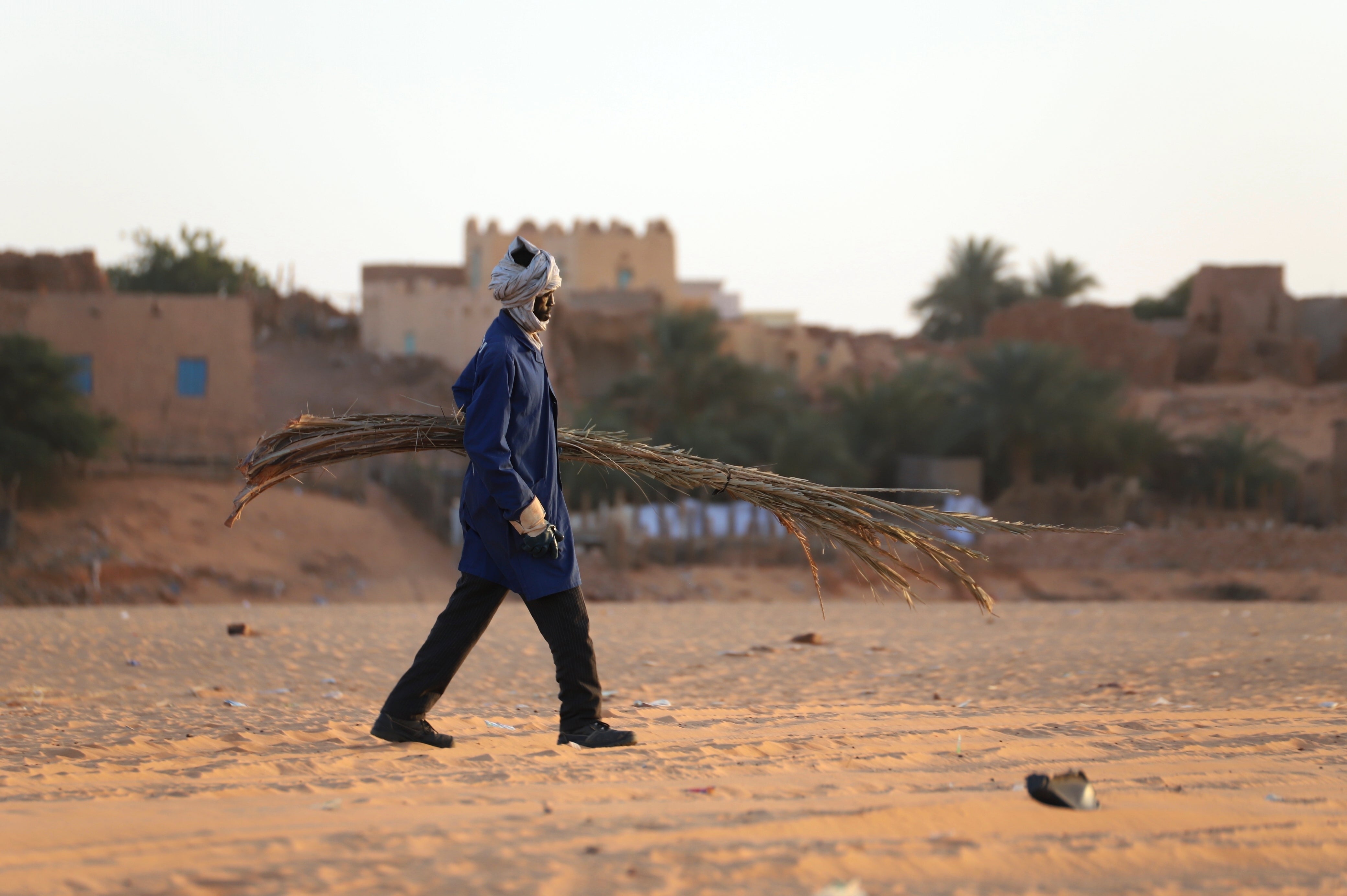 A local worker carries part of a palm tree which is used to cover houses in Chinguetti, Mauritania on 4 February 2025