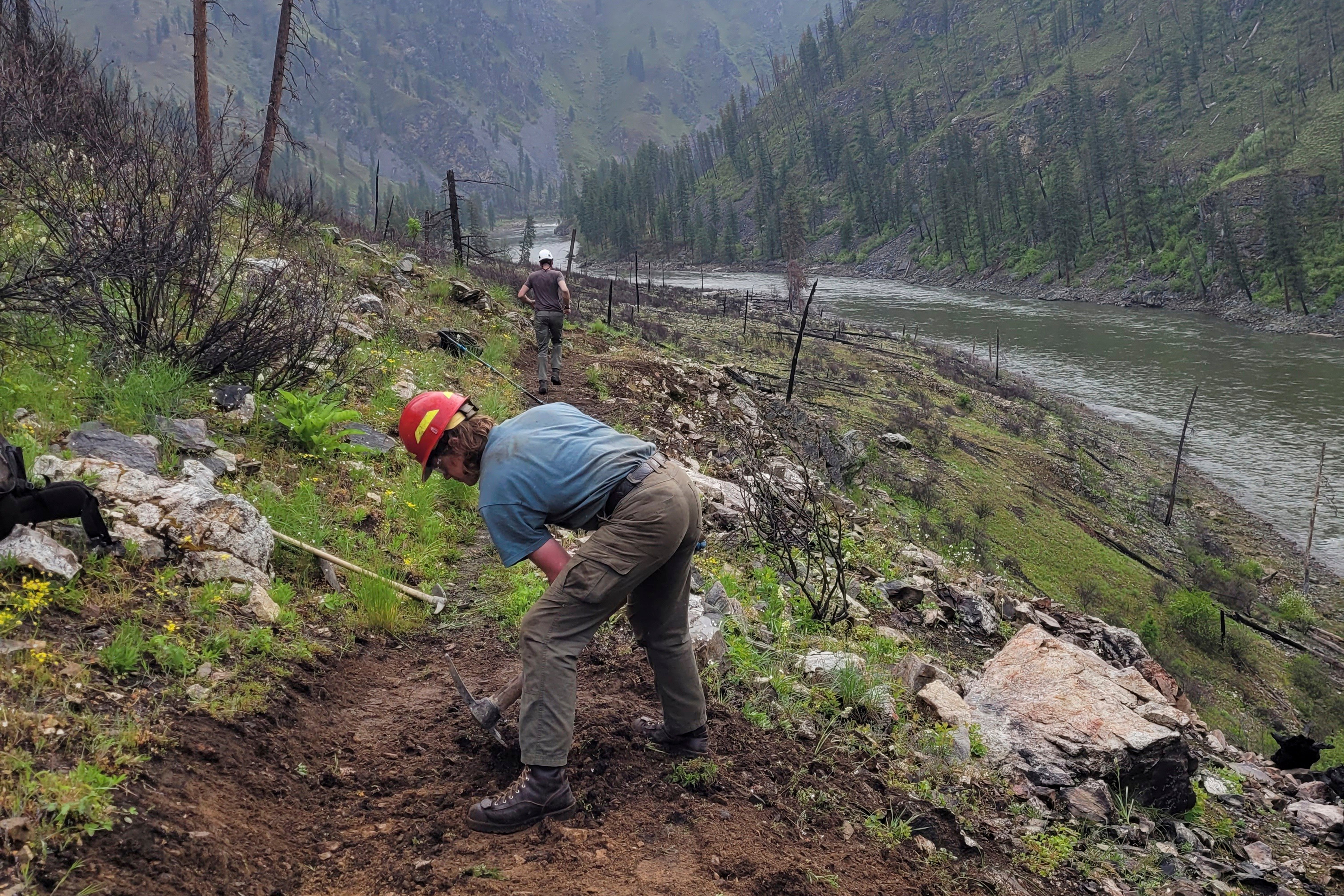 Trump Wildfires Fired Workers