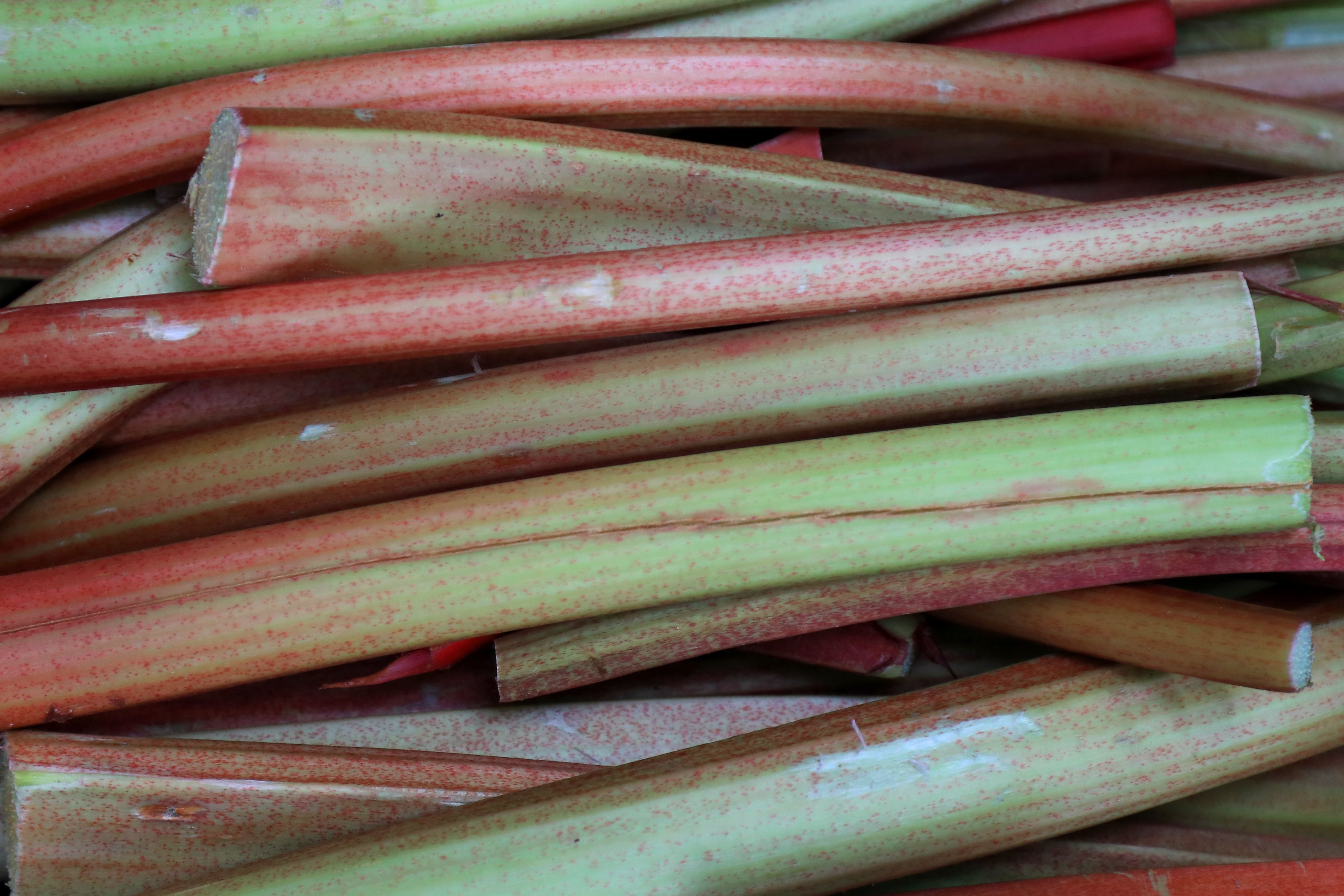 Forced rhubarb is available from January until around March