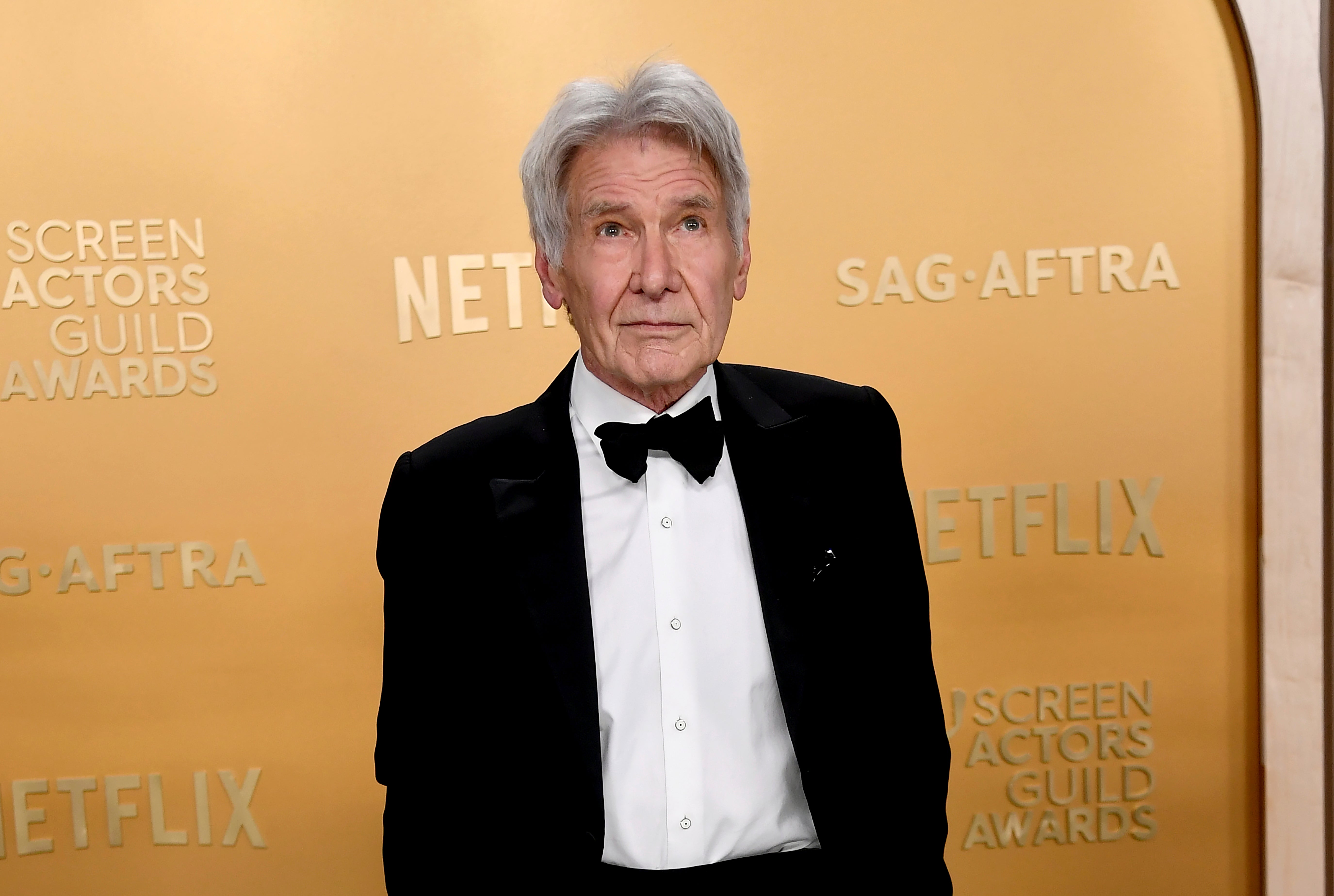 Harrison Ford will no longer present at the 2025 Oscars on March 2 because he was recently diagnosed with shingles