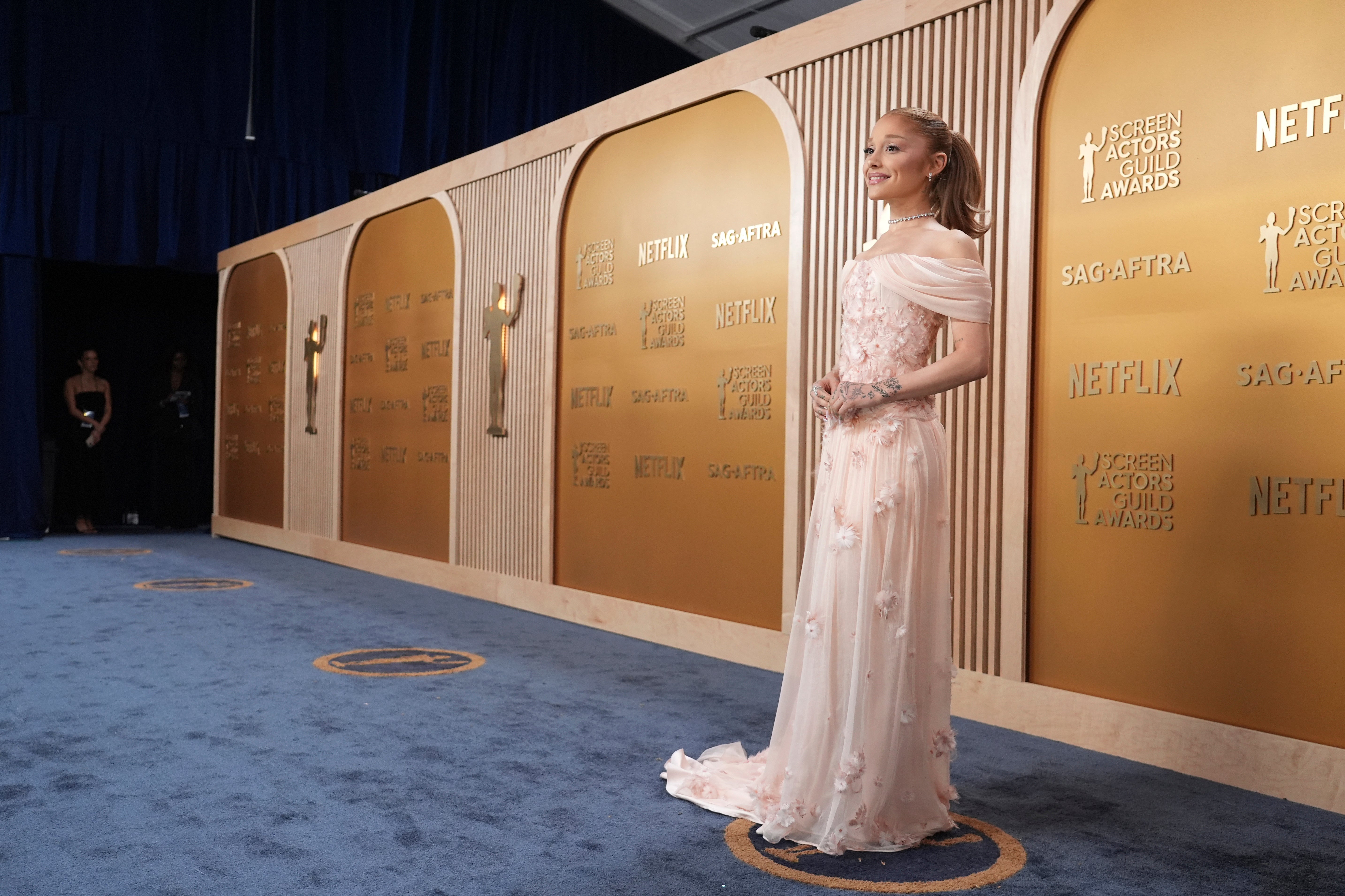 31st Annual SAG Awards - Red Carpet