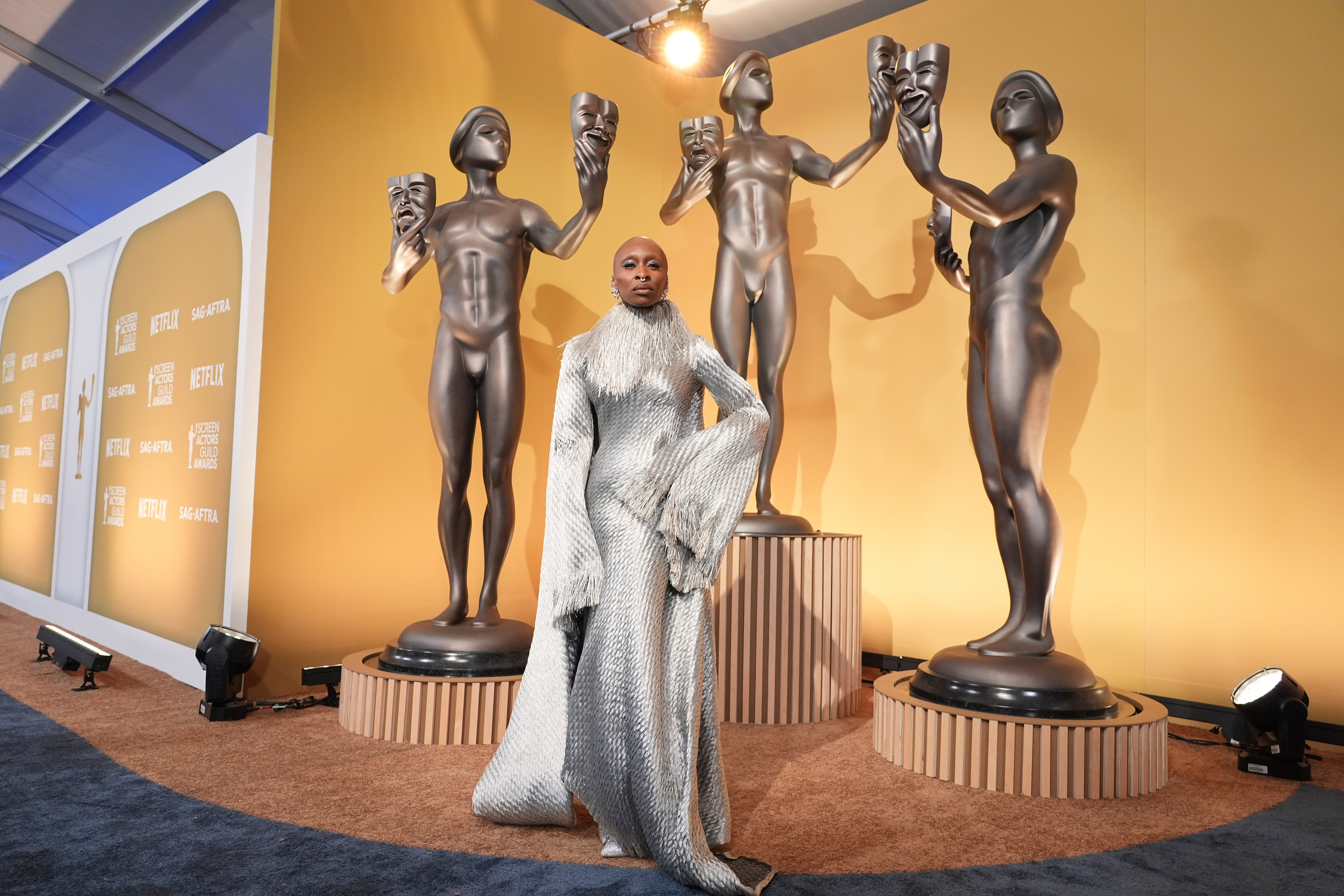 31st Annual SAG Awards - Red Carpet