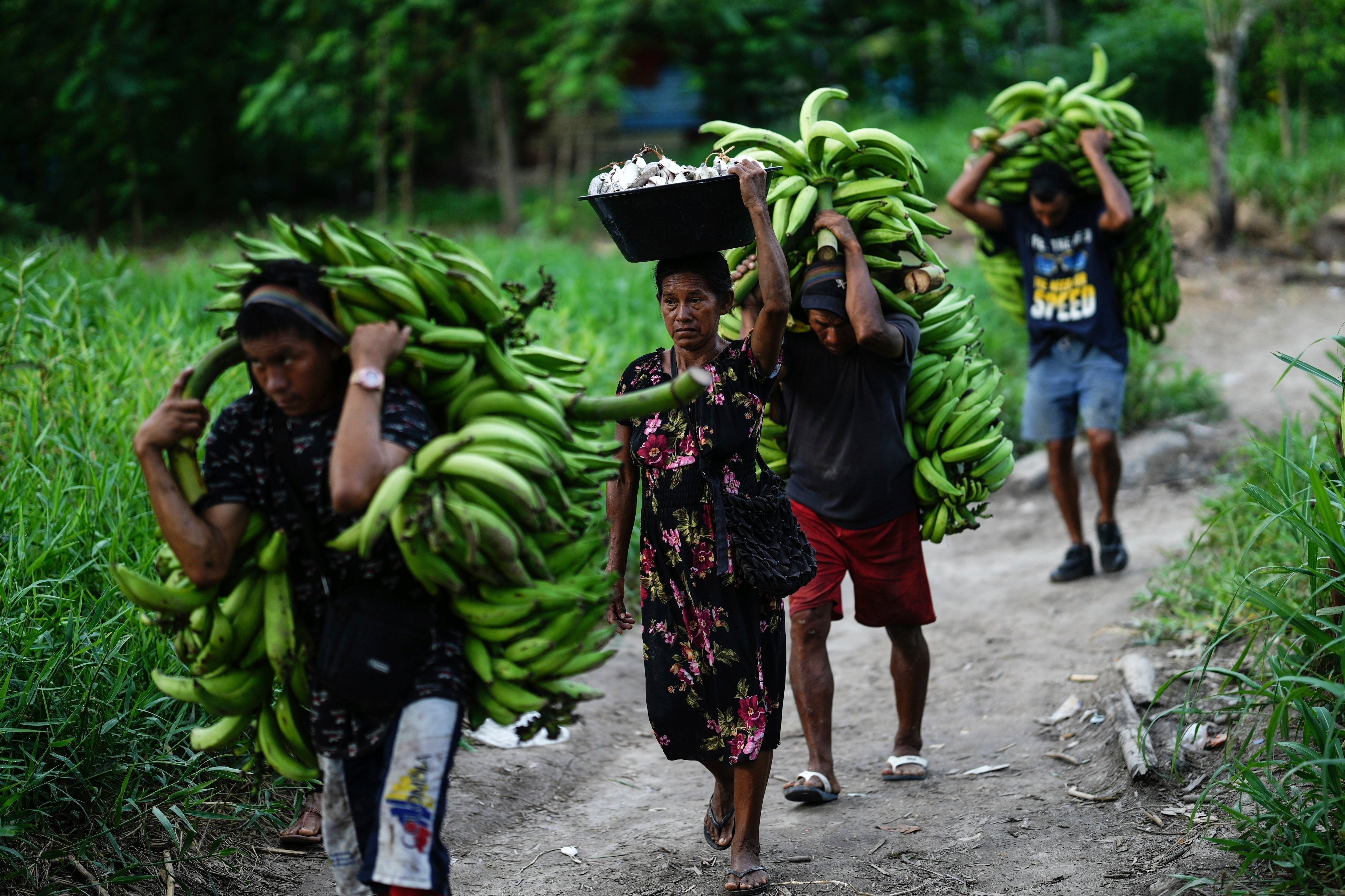 A group of men and a woman carry bananas and fish from the port, in Leticia, Colombia