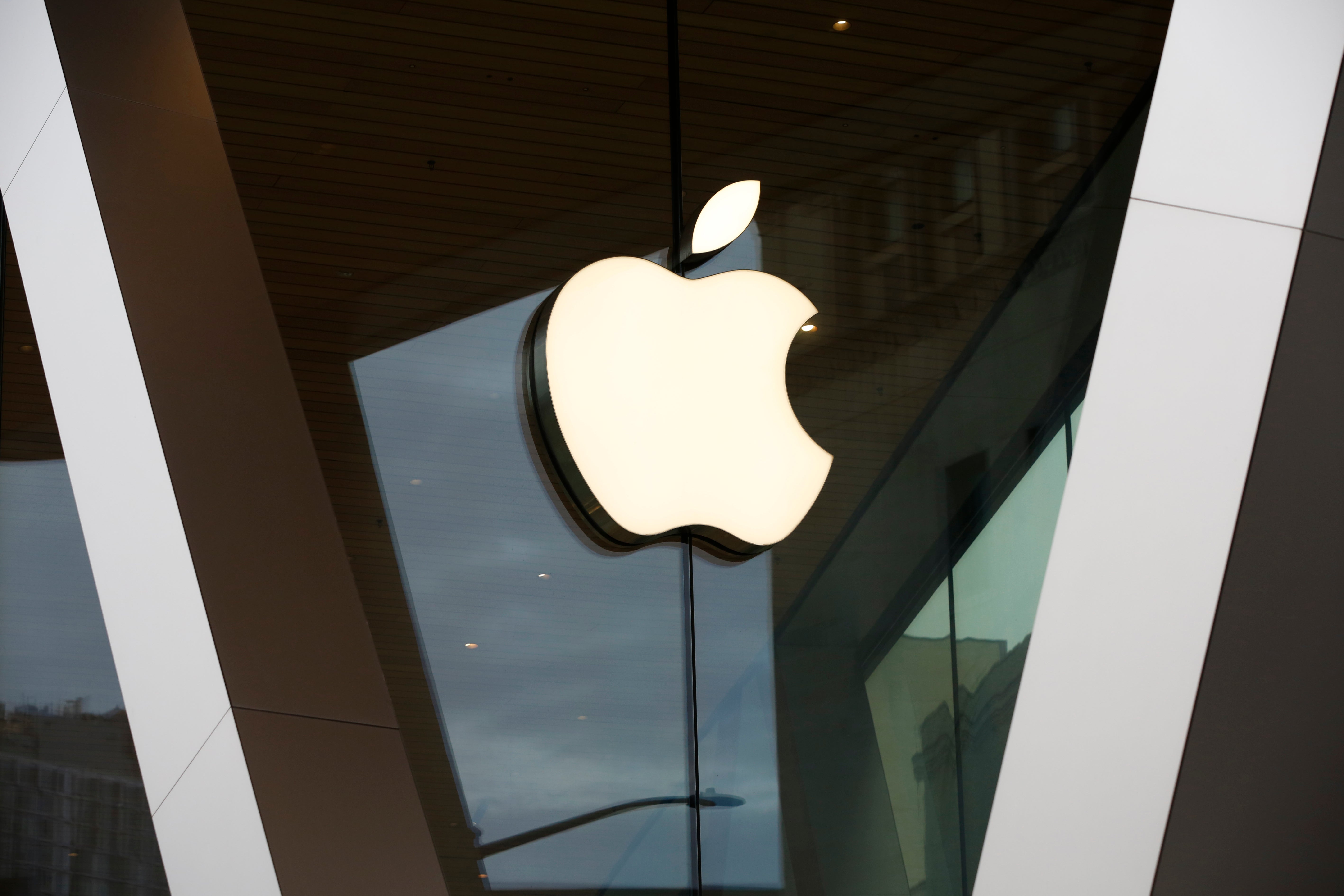 Apple supported keeping the diversity programs that shareholder proposal sought to eliminate