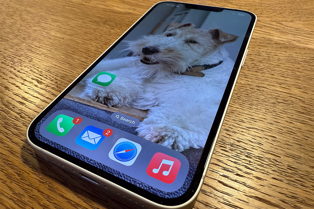 Apple iPhone 16e review: Could the most affordable model beat the most expensive?