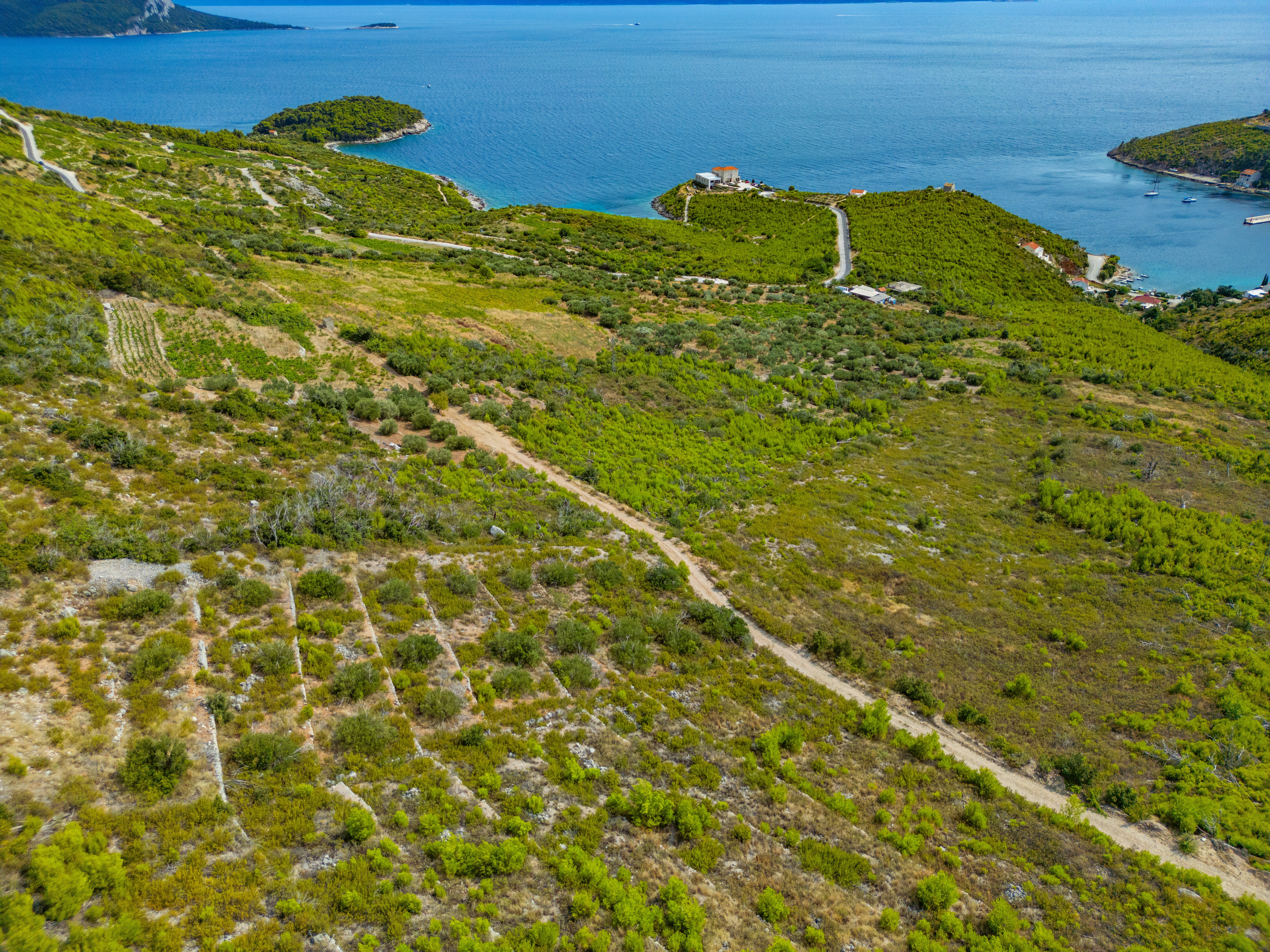 The rocky soil, warm climate and coastal setting make the Peninsula ideal for grape growing