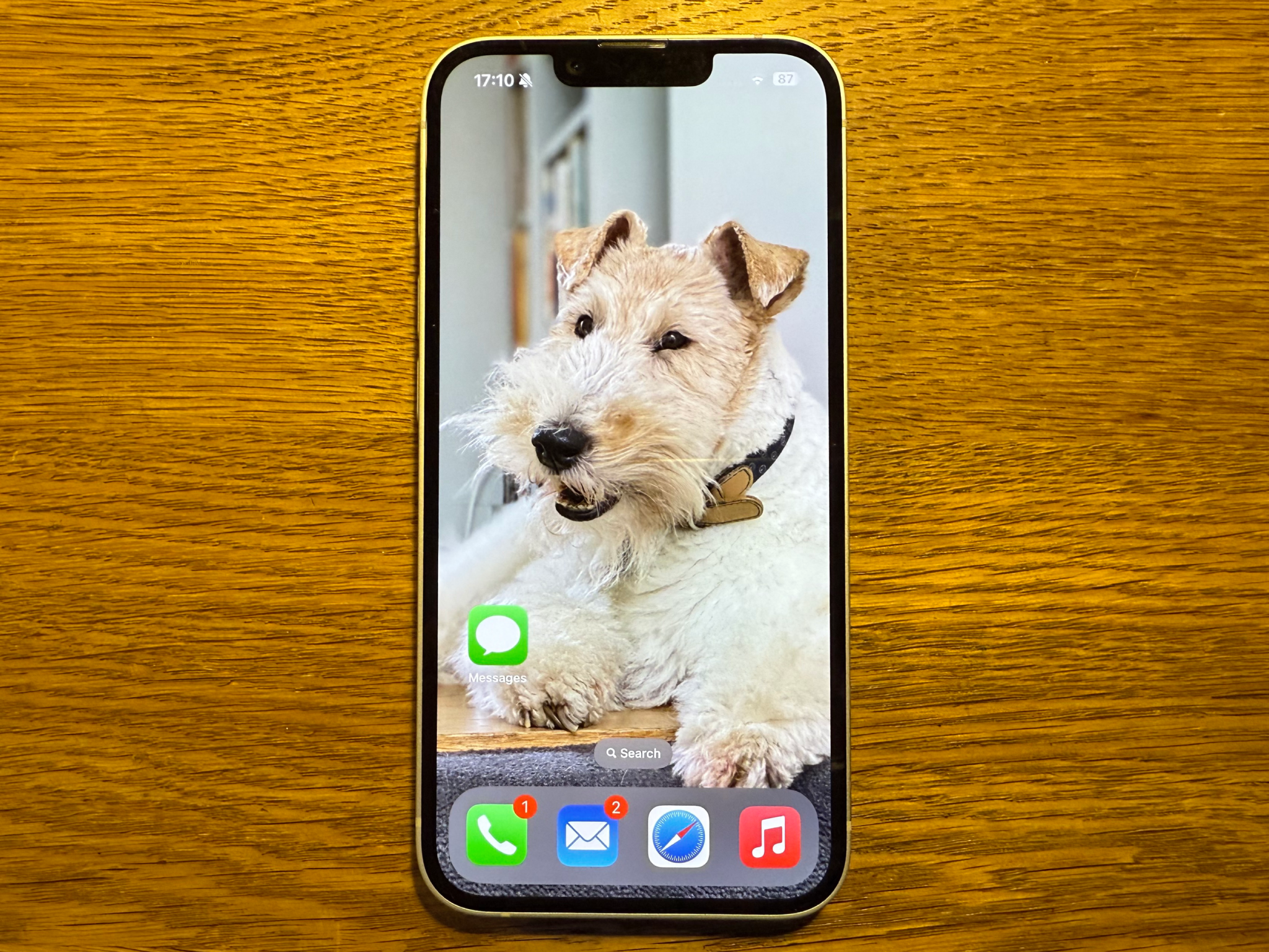 The iPhone 16e launched in February last year