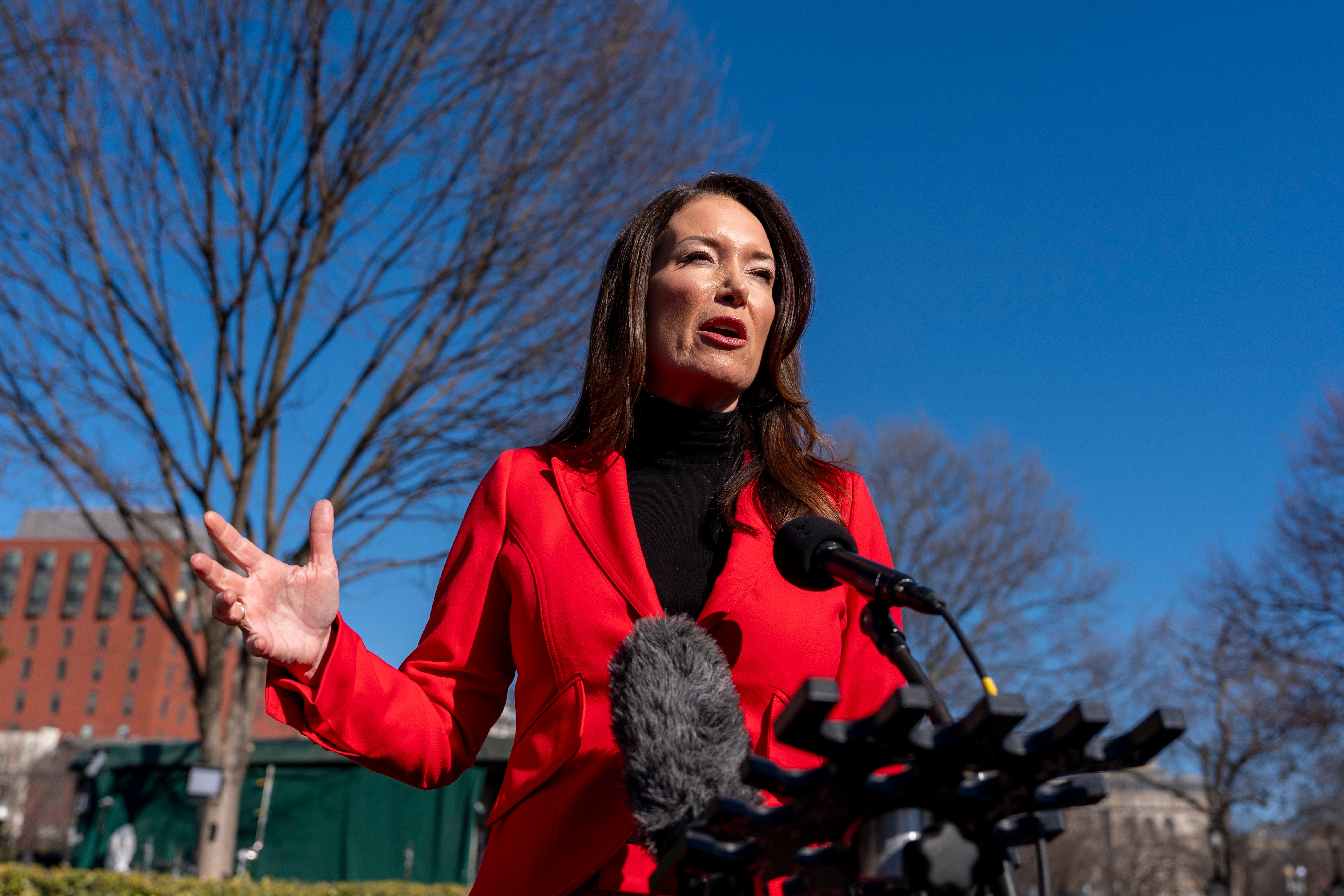 Rollins said prices should start to come down ‘maybe later this spring, this summer.’ But not until they increase some more.