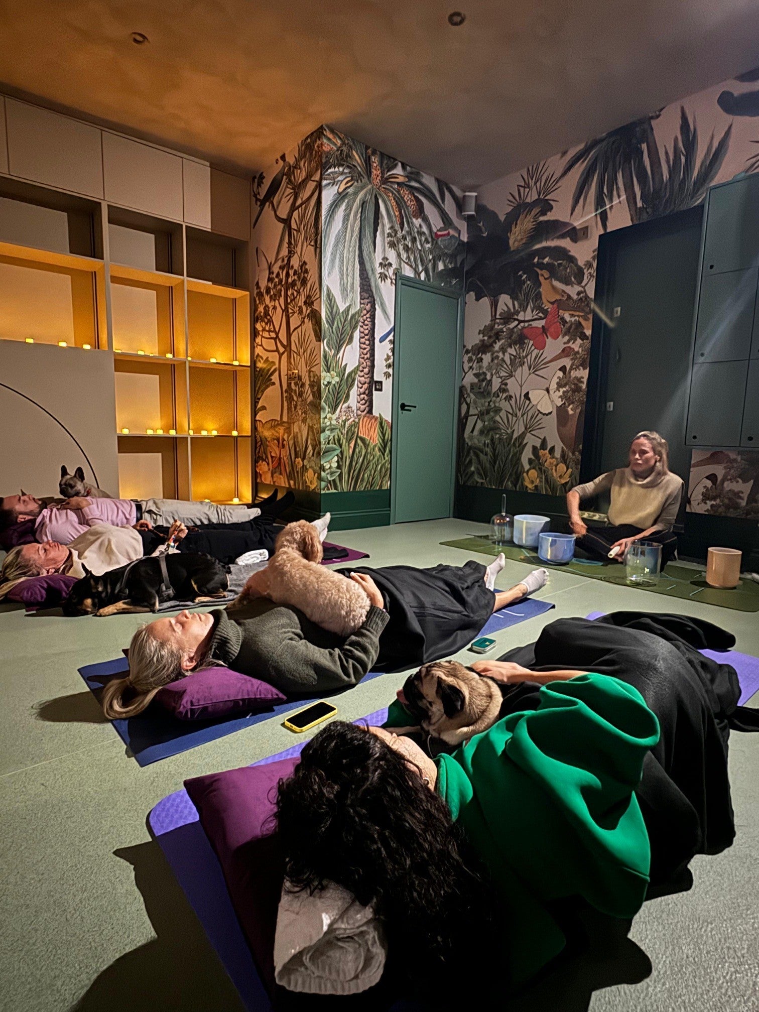 ‘In a week in which we have Trump’s AI video, I would argue that a dog sound bath is the only sane response’