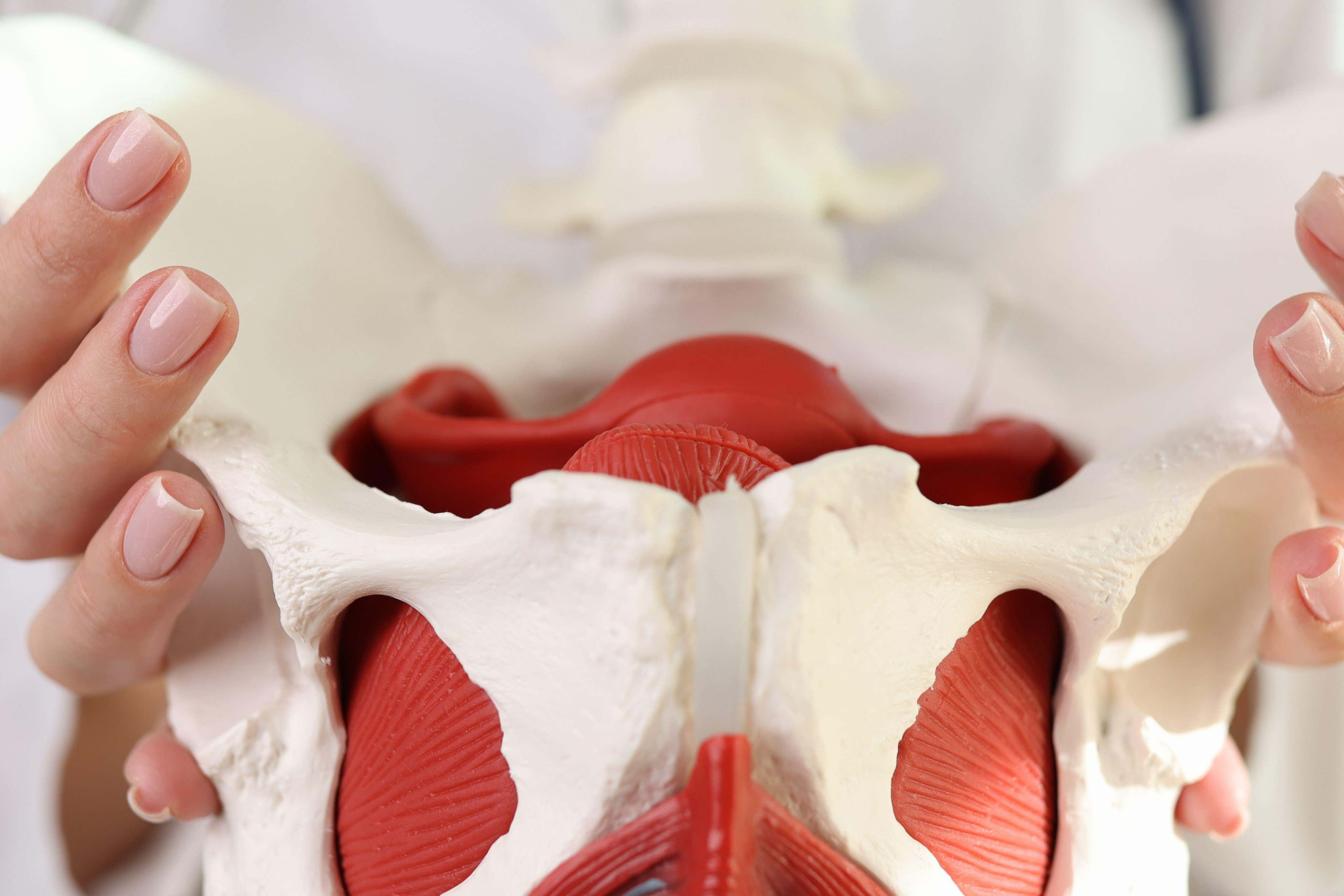 The senior Tory called for a Commons debate on the scandal (PA)