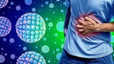 Cruise ship passengers warned of latest norovirus threat after outbreaks