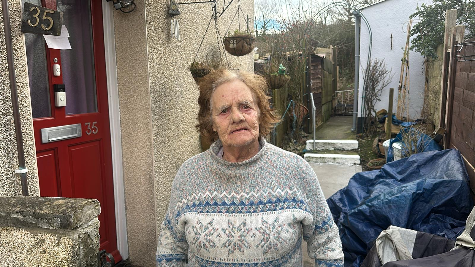 Doreen Tovey said she heard a woman screaming 'they killed my dog' following the attack