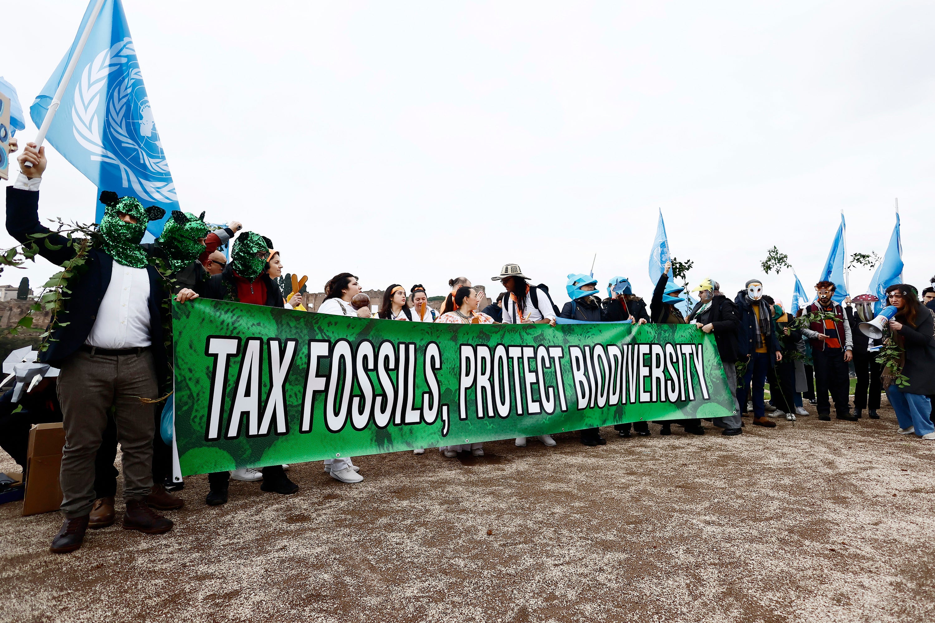 Climate COP16 Biodiversity