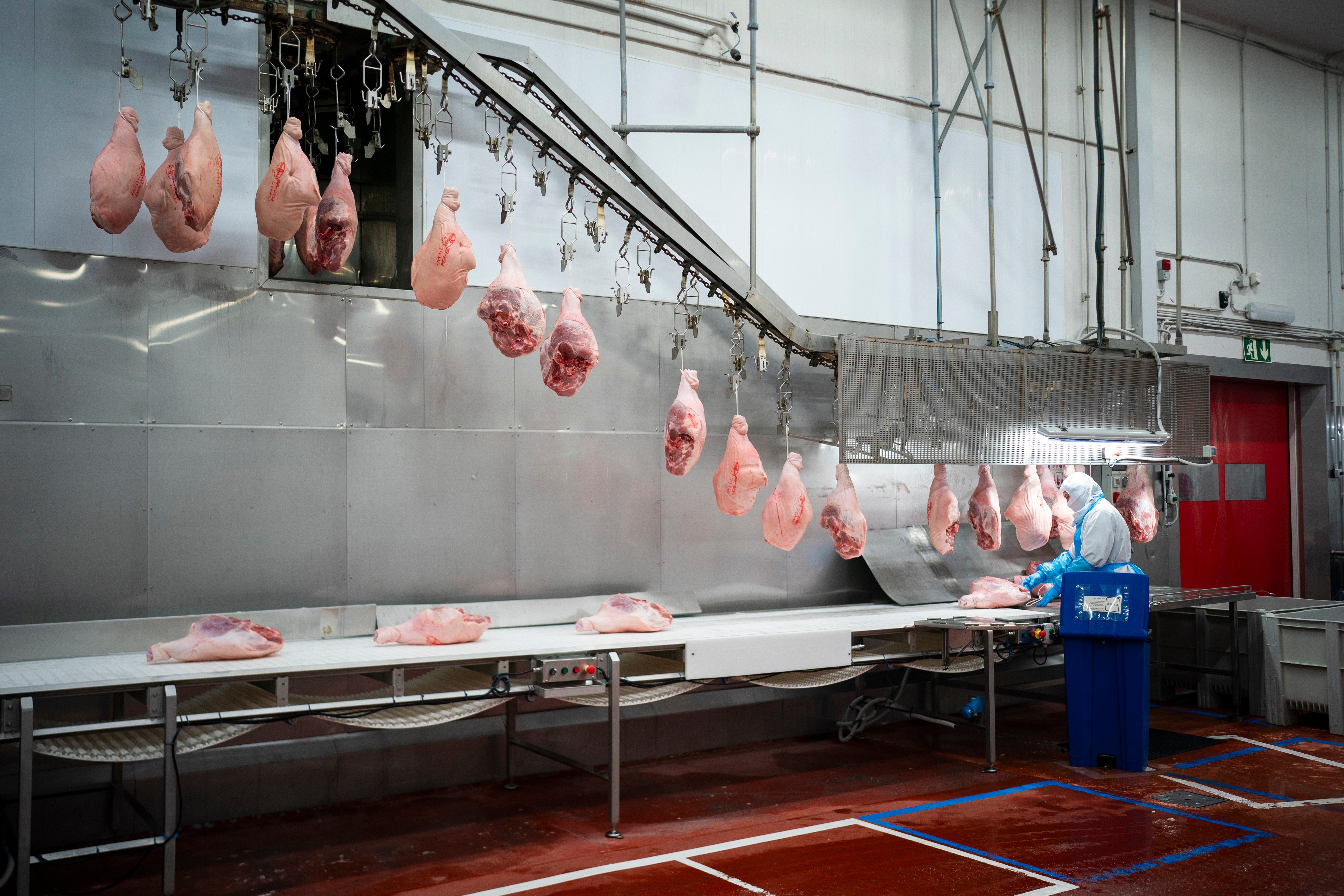 Spain Migration Economy