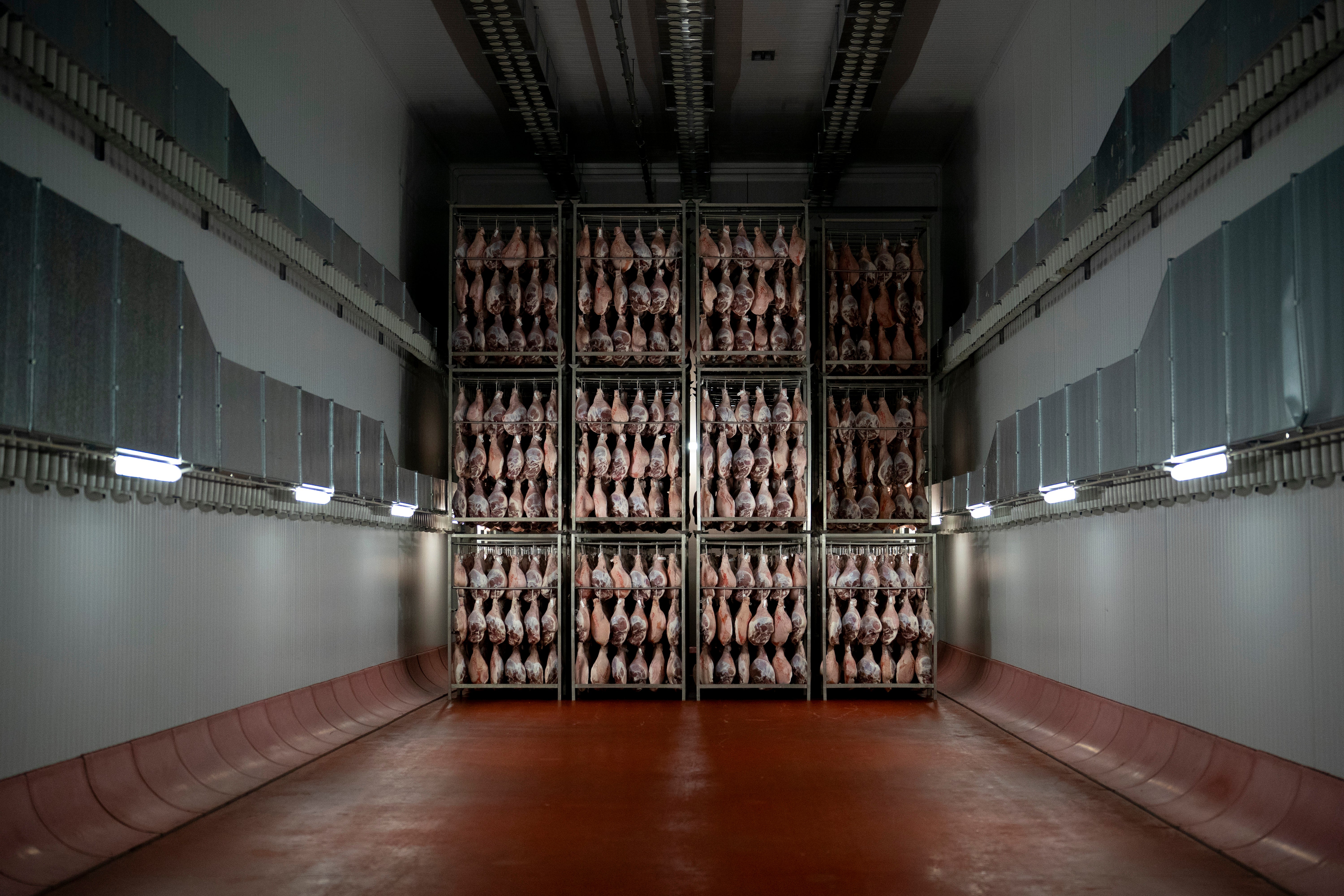 Spain Migration Economy