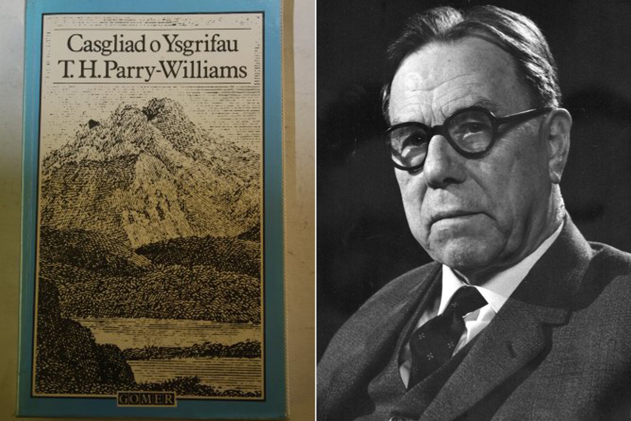More than anything else, Parry-Williams used the form to write out the ‘enigma of his personality’