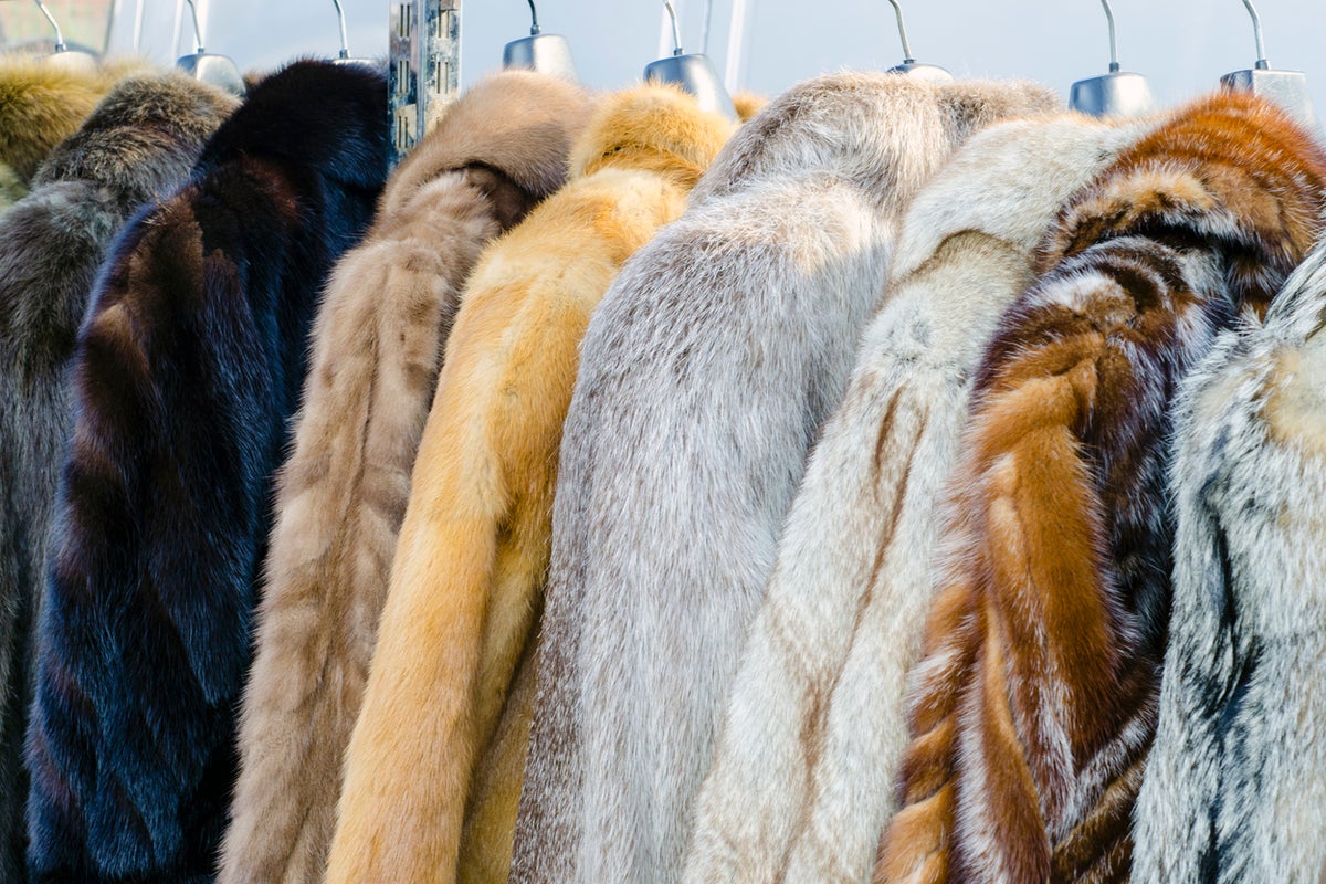 Condé Nast bans fur across its titles after decades of protests Condé Nast bans fur across its titles after decades of protests