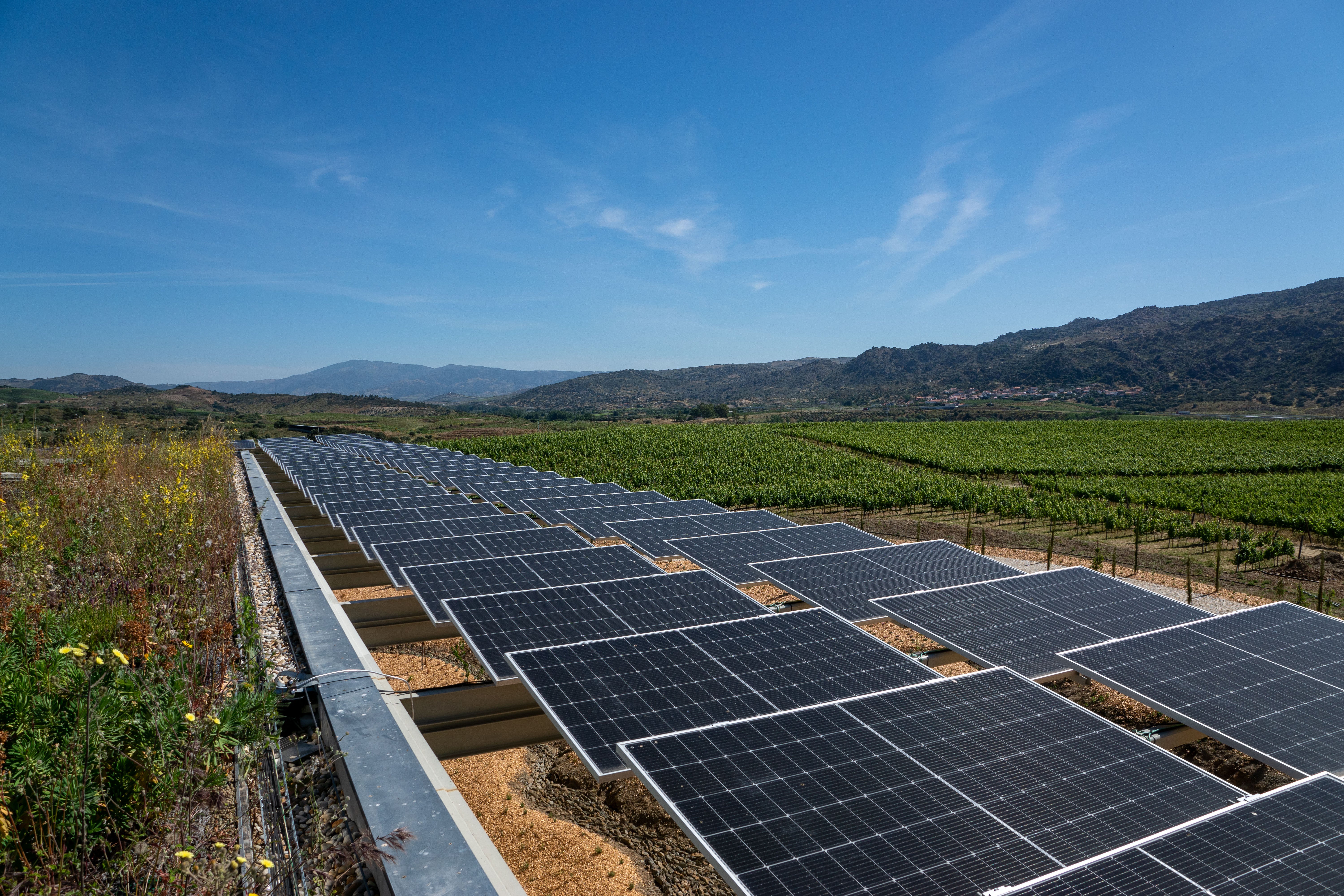 Sunshine and sustainability: At Ataíde, Symington isn’t just harnessing the Douro’s heat for ripening grapes – it’s turning it into power, proving that great wine and green energy can share the same terroir