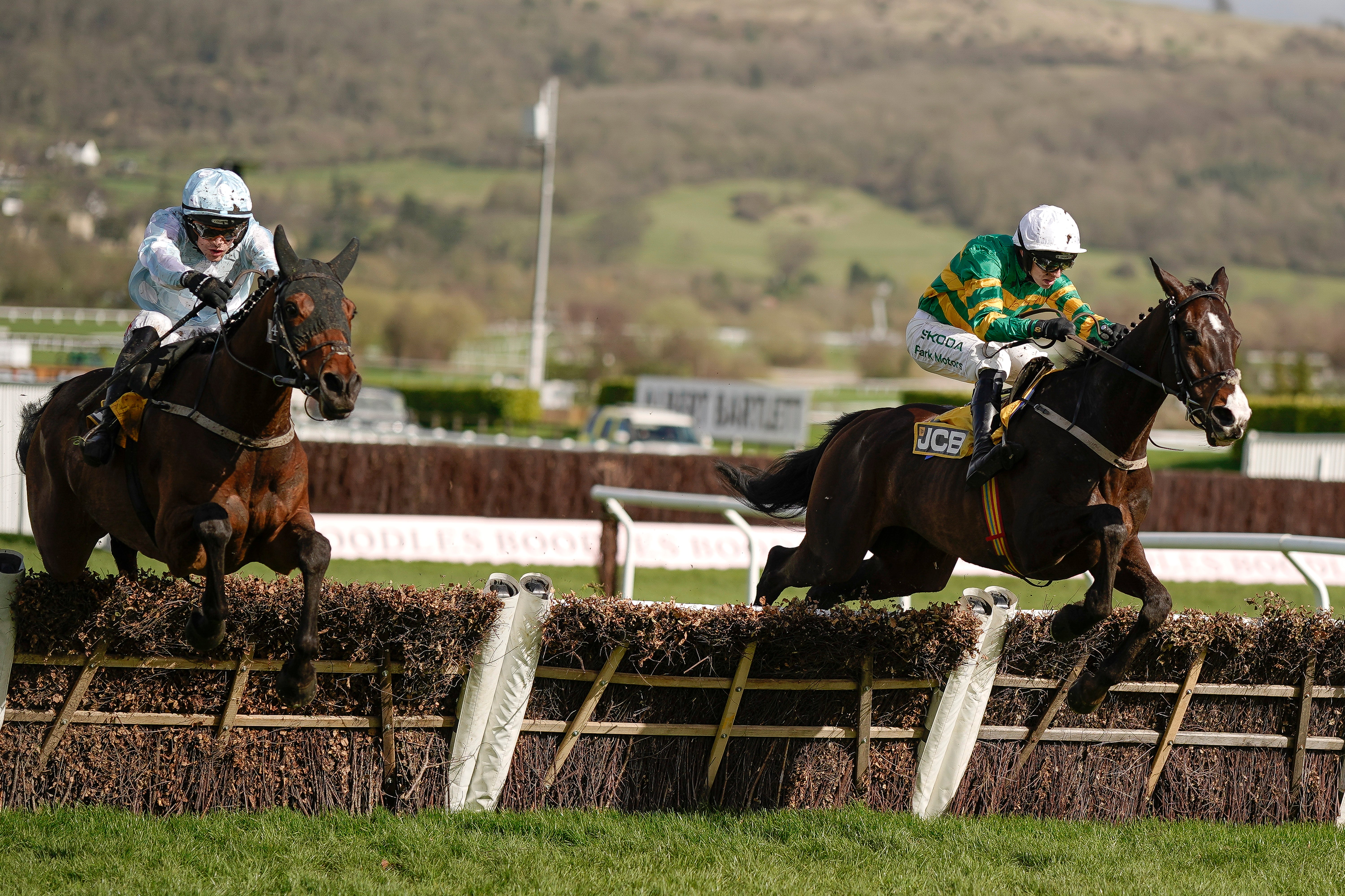 Best 2025 Cheltenham Festival Free Bets
