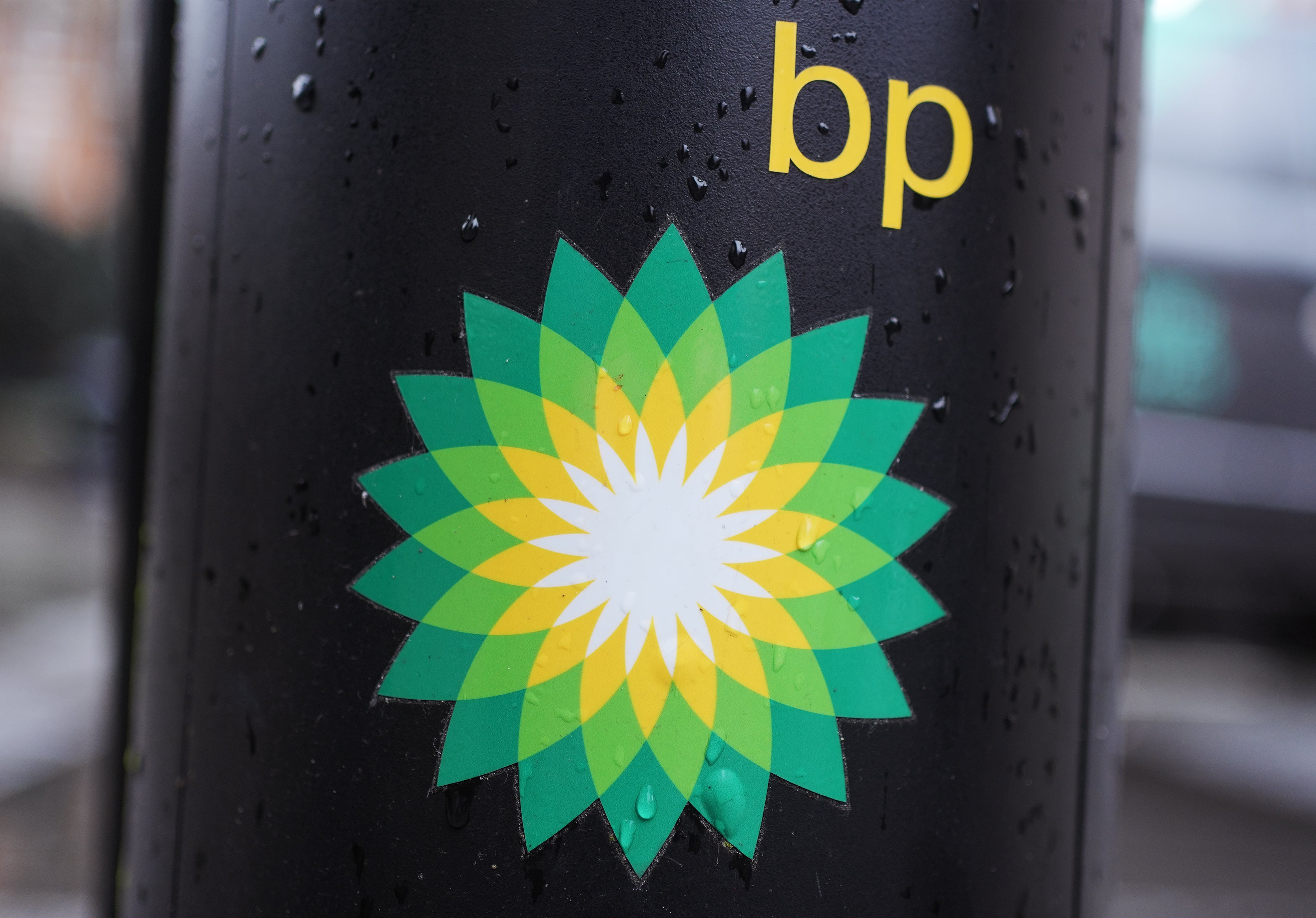 BP ha sponsored a number of cultural institutions over the years