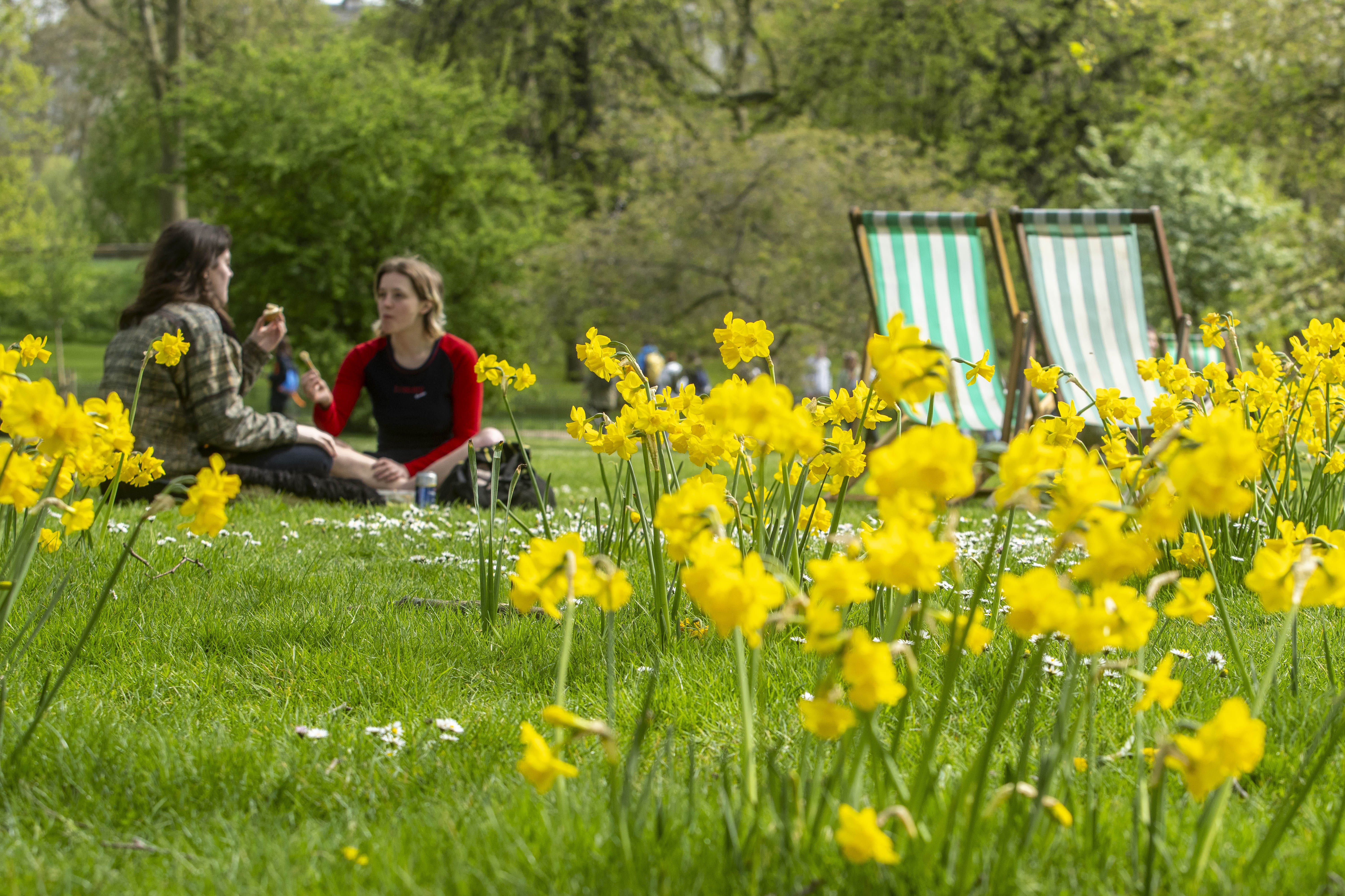 Flowers will be blossoming as the spring season begins (Jeff Moore/PA Archive)