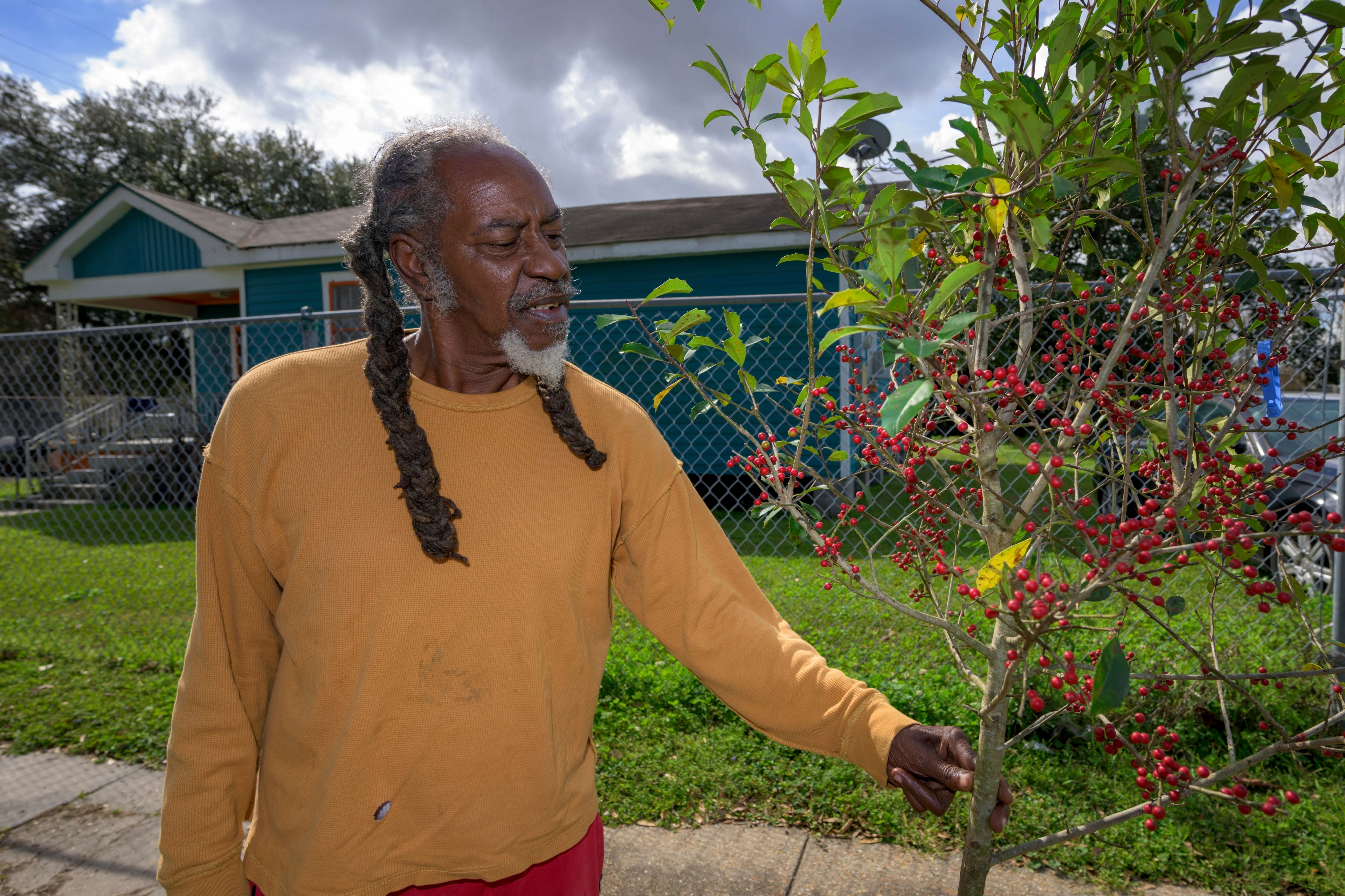 Albert Florida, a resident of the Lower 9th Ward for over 40 years, looks at one of the trees planted by SOUL (Sustaining Our Urban Landscape) in New Orleans,