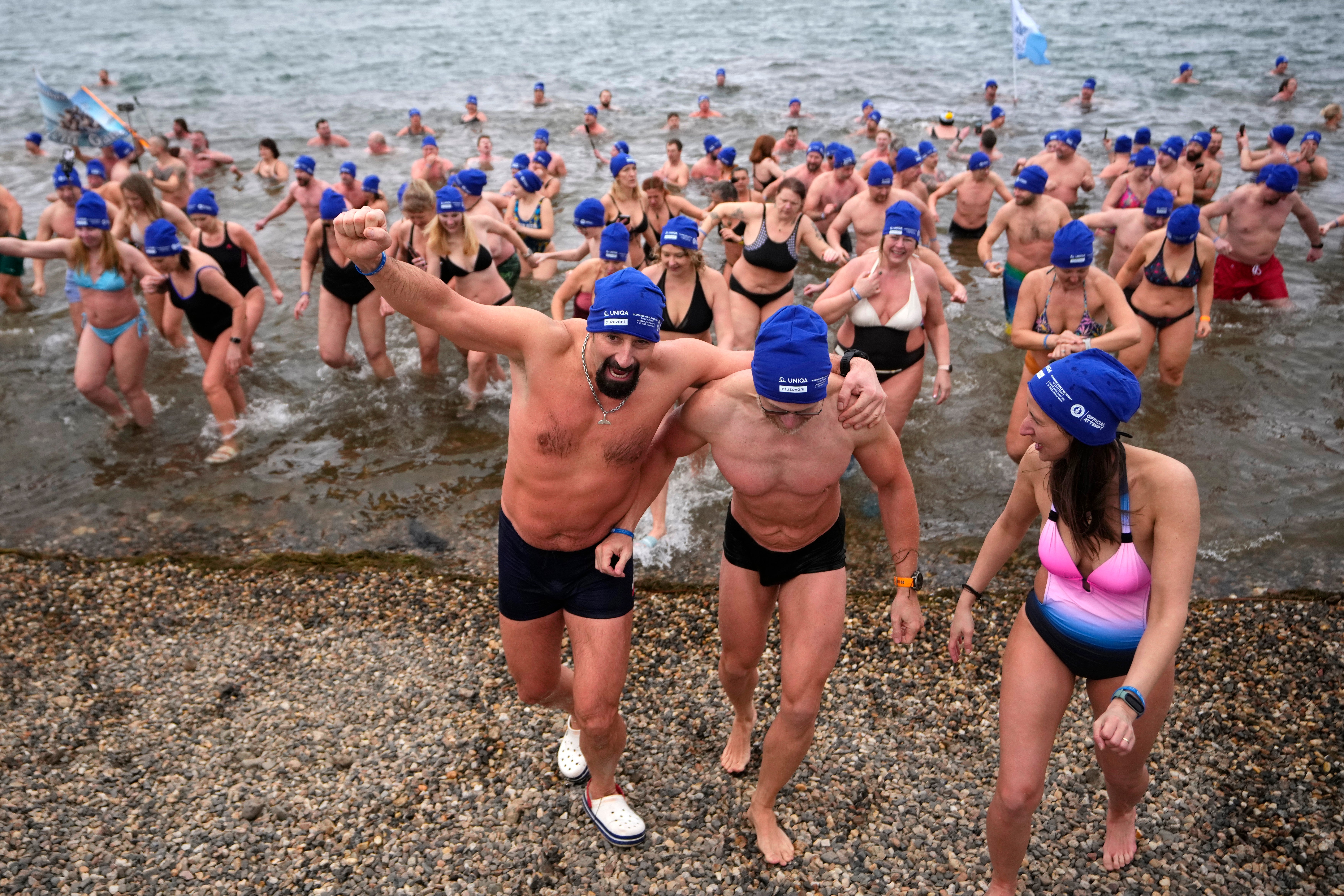 Czech Republic Polar Swimmers
