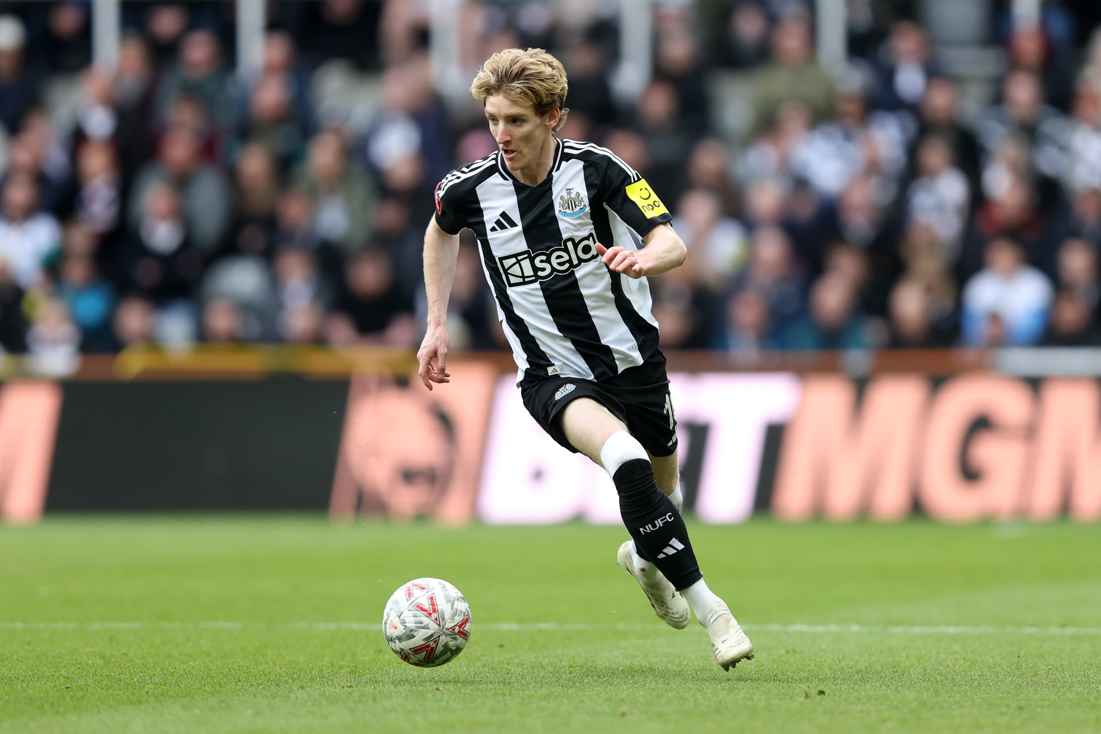 <p>Anthony Gordon will miss the Carabao Cup final against Liverpool</p>