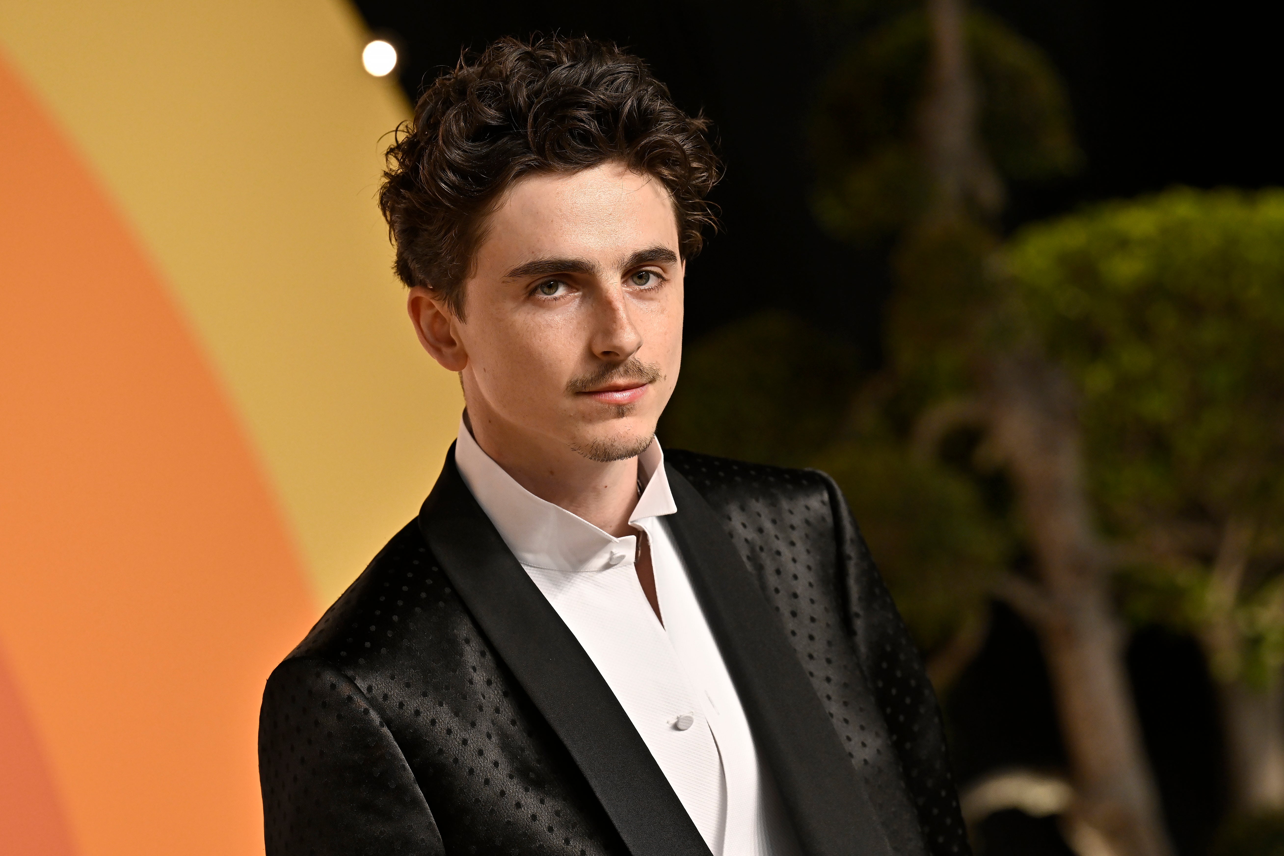 <p>Chalamet sporting a moustache on the red carpet</p>