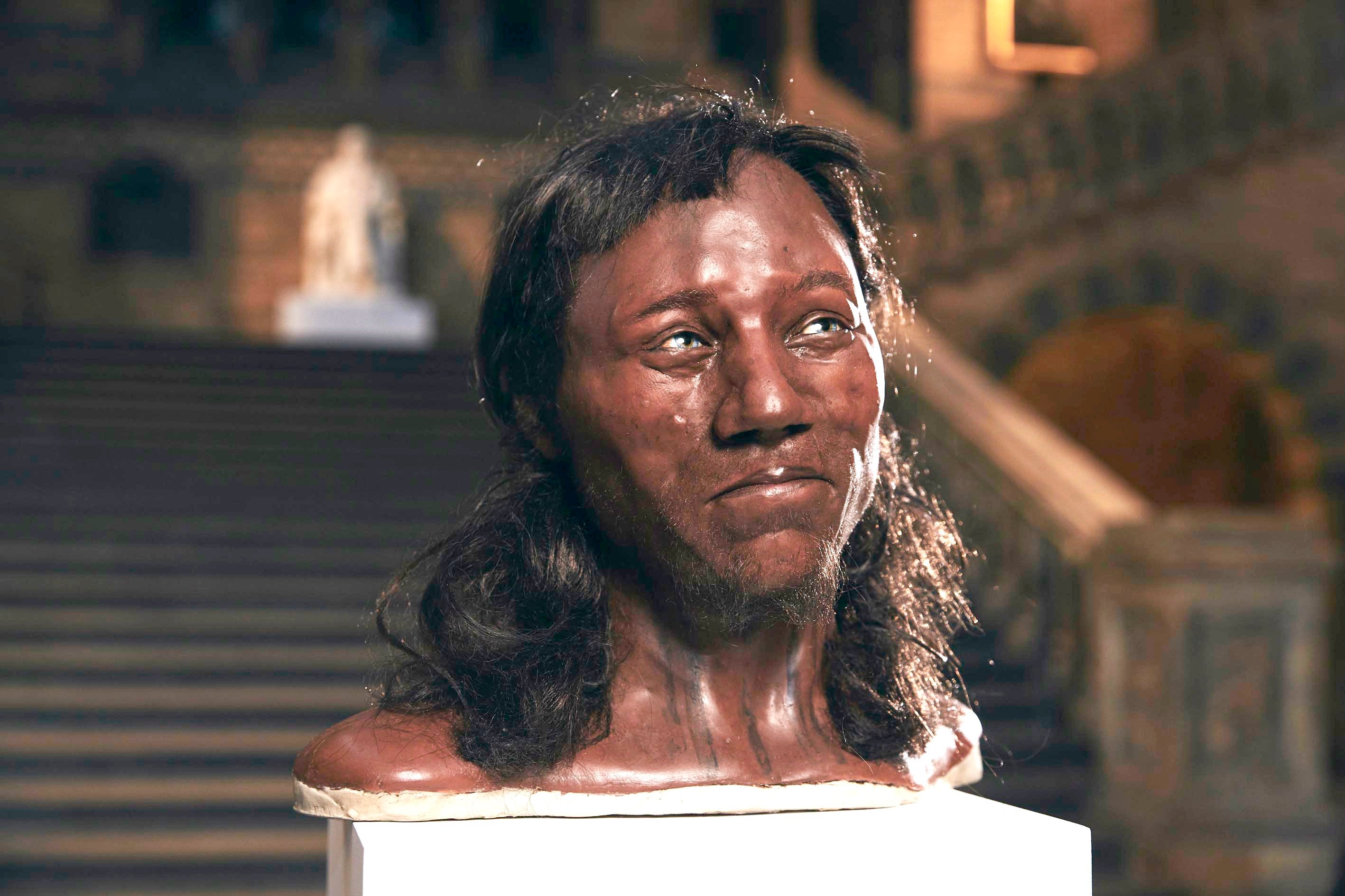 Image of Cheddar Man who lived 10,000 years ago and had dark skin and blue eyes