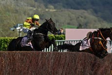 What is a handicap? A brief guide to horseracing jargon for Cheltenham Festival