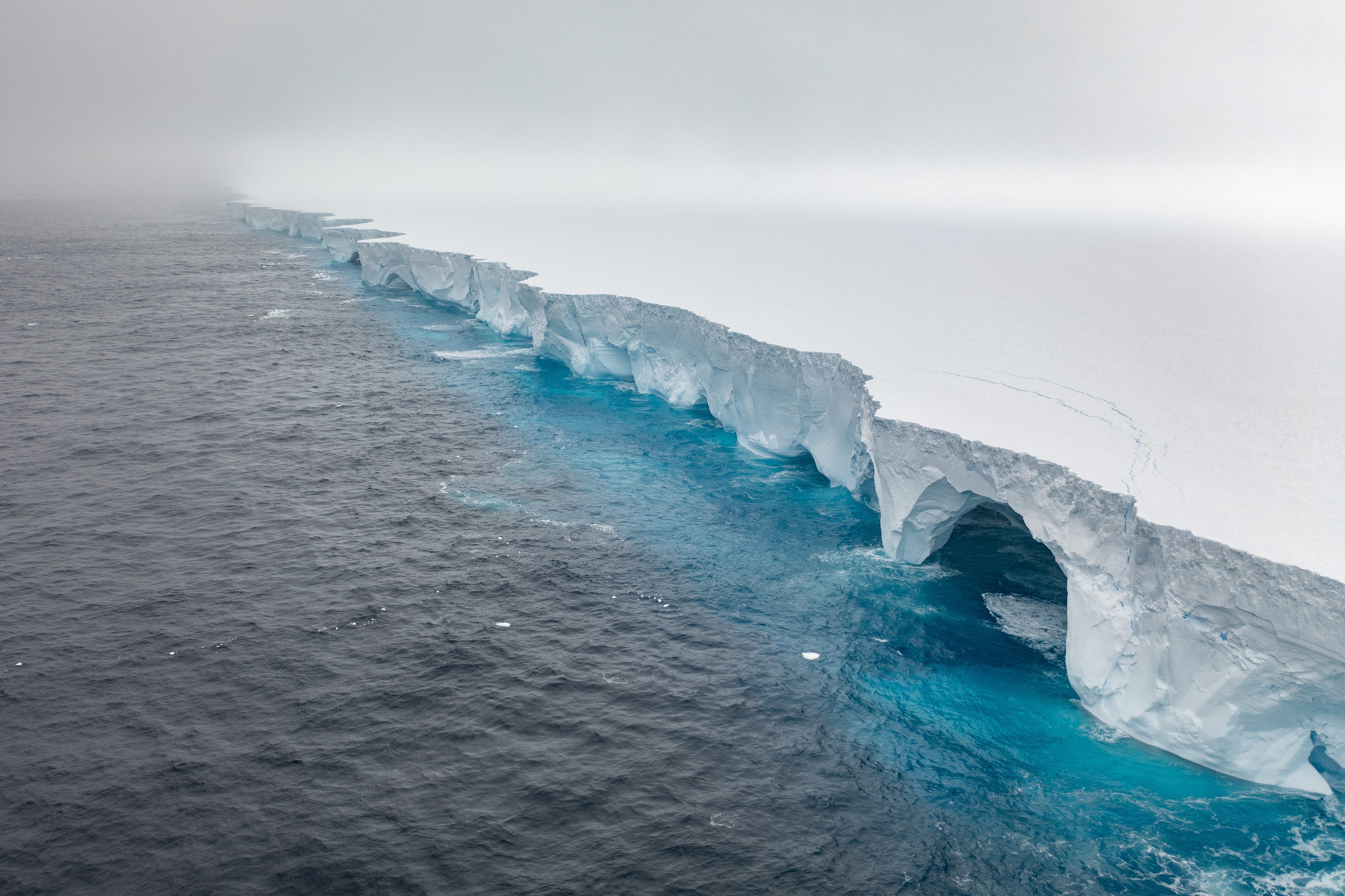 The world’s largest and oldest iceberg has run aground near the island of South Georgia, scientists say