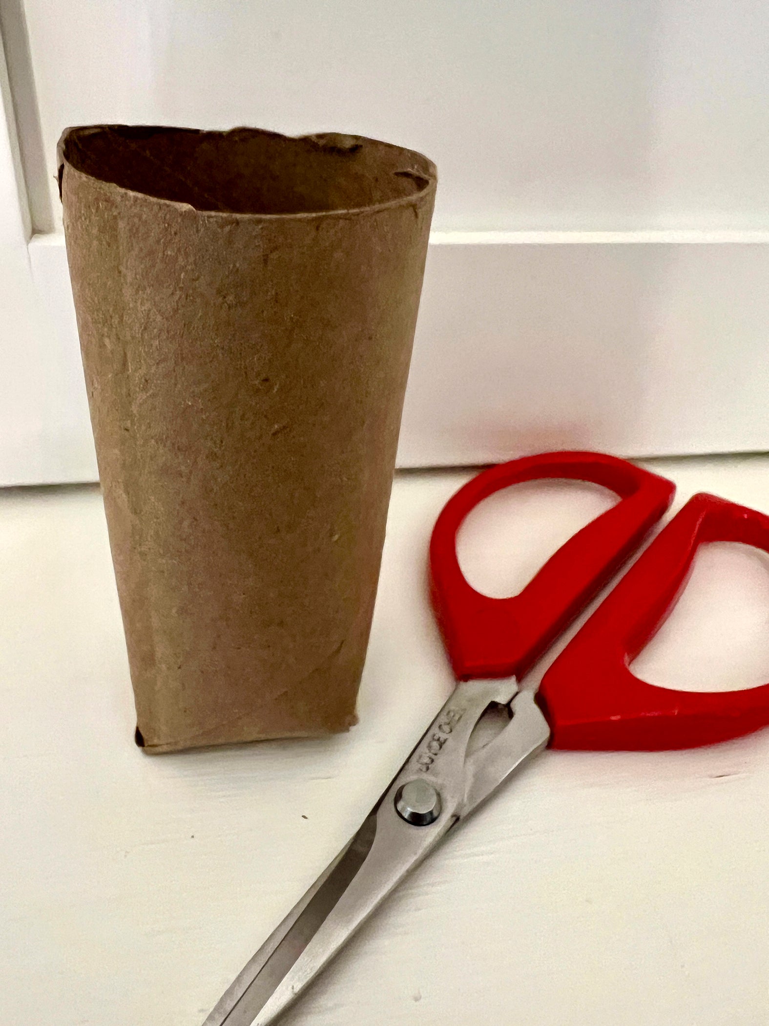 Gardening-Seed-Starting Containers