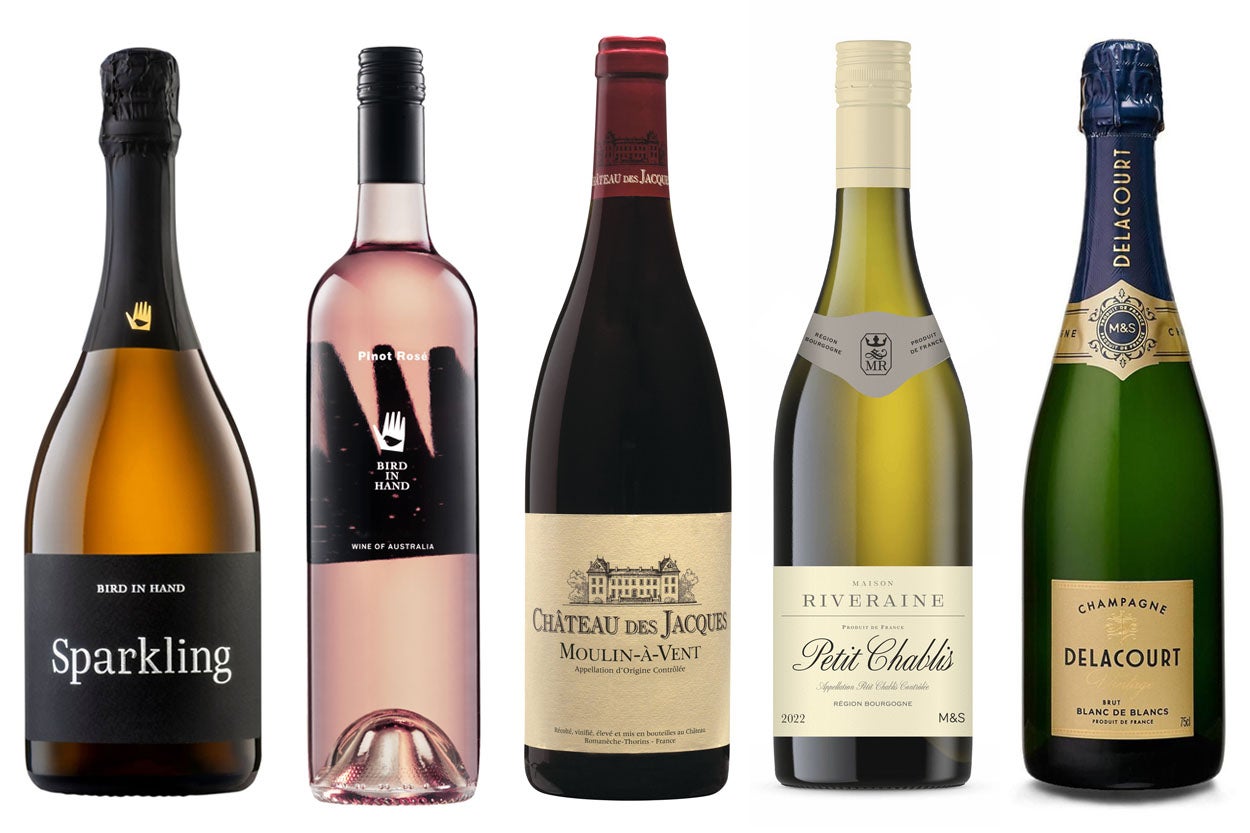 A toast to trailblazers: Five exceptional wines crafted by leading women winemakers, each bottle a testament to talent, innovation, and the changing face of the industry