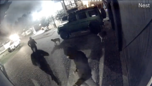 The three suspects in Sunday's alleged home invasion