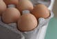 Nearly 100 people across 14 states fall ill in salmonella outbreak linked to eggs