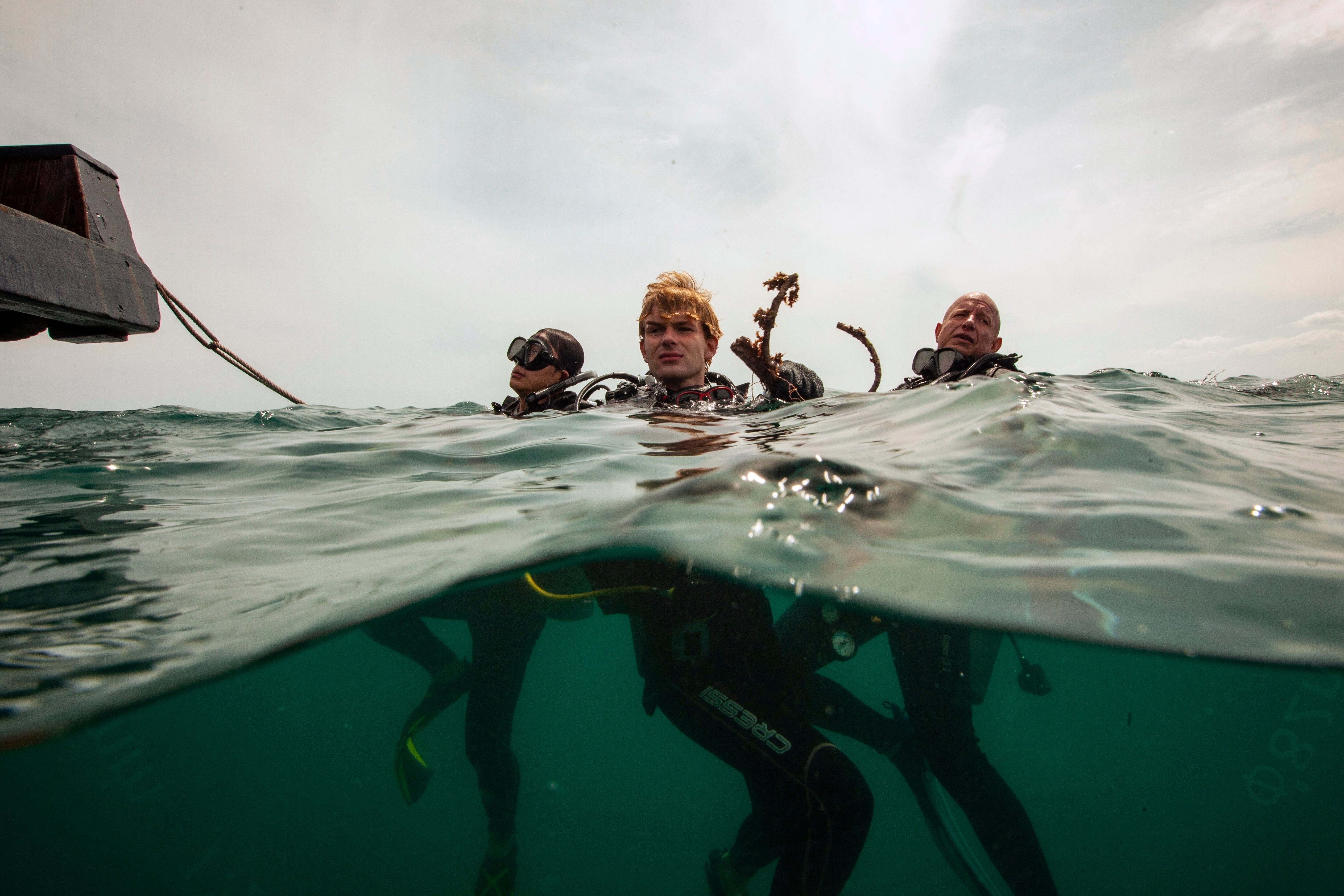 Climate Vietnam Coral Reefs
