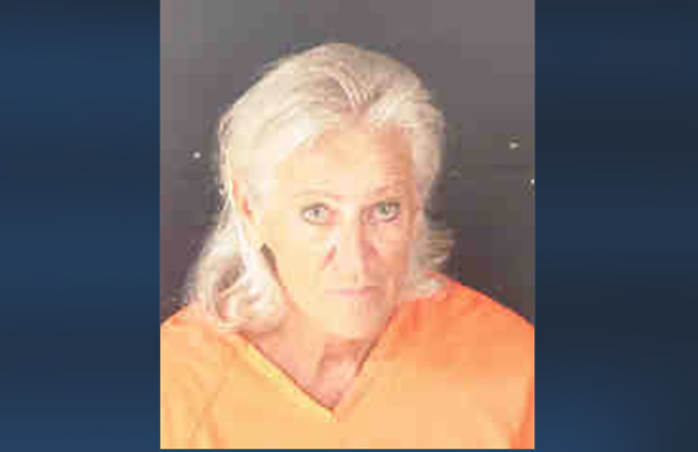 <p>June Fenton, 72, of Sarasota, Florida has been charged over fatal accident</p>