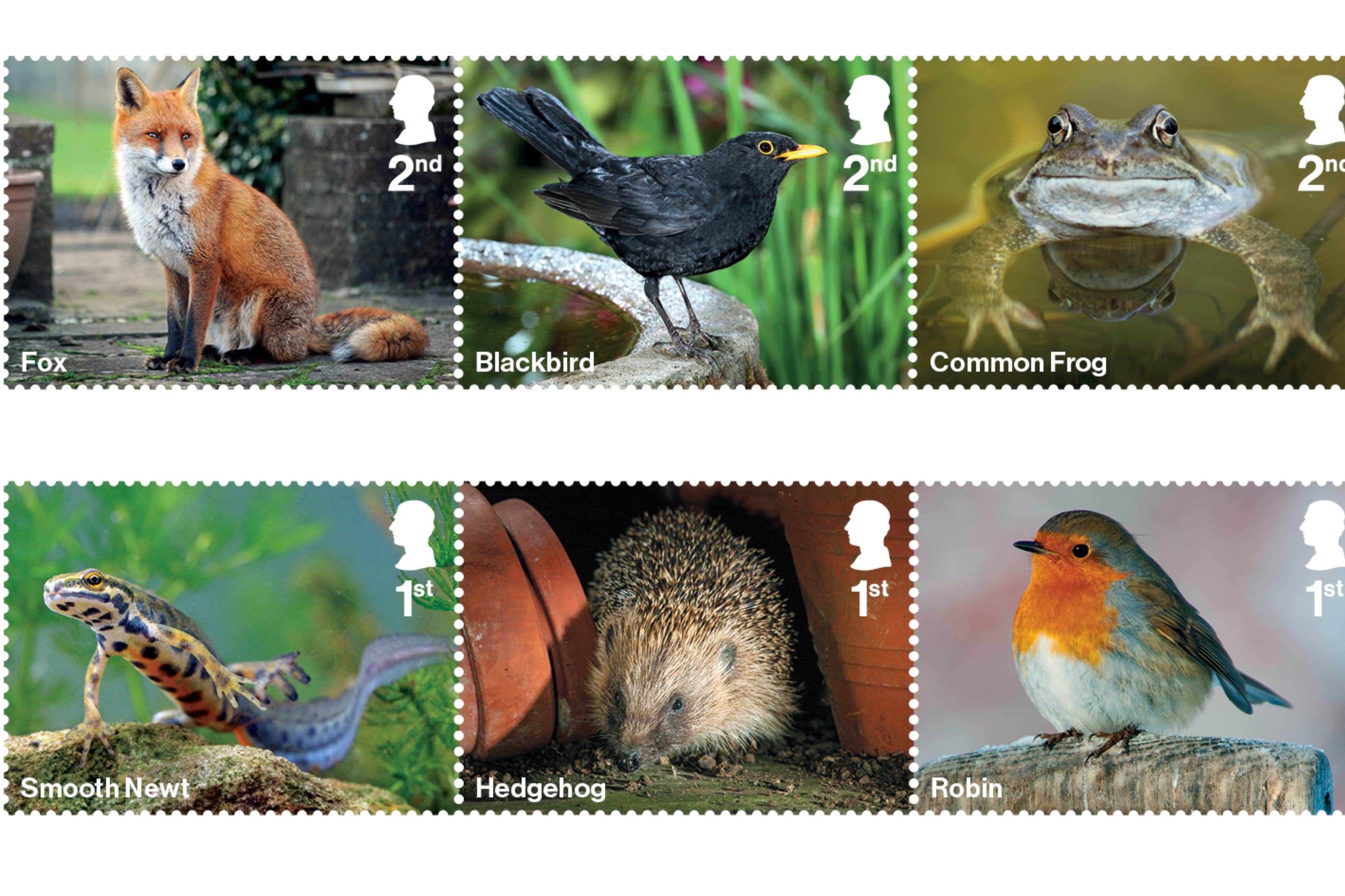 The stamps include a fox and a hedgehog among others (Royal Mail/PA)