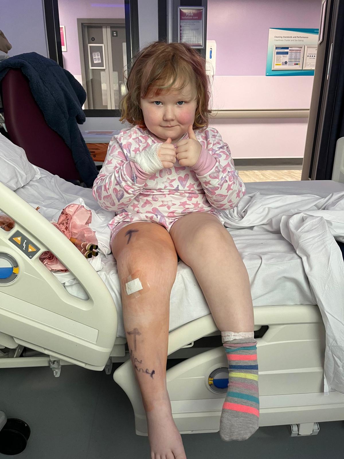 Meredith first developed a limp in April 2023