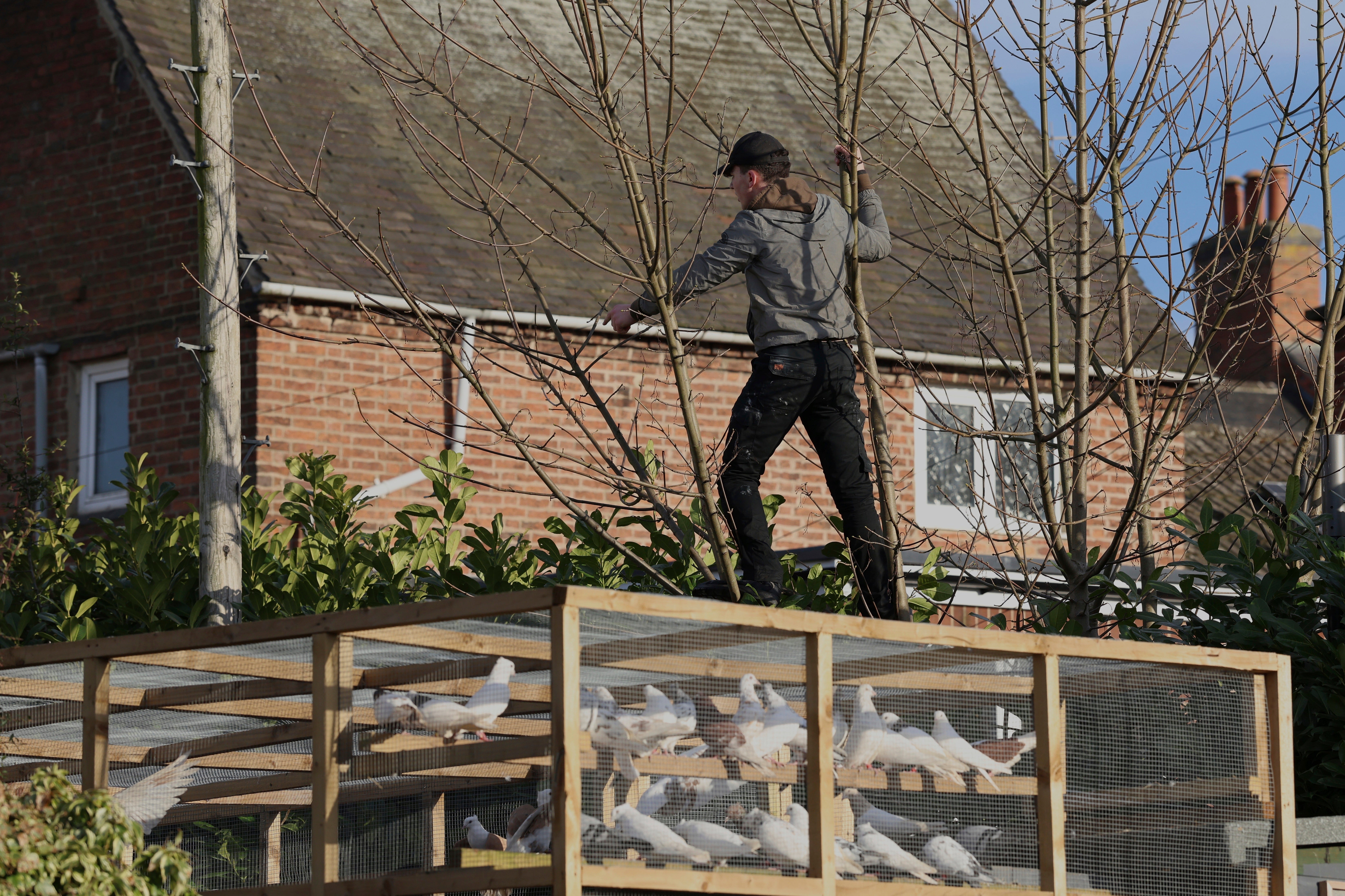 A man walks into a bird cage to retrieve a ball