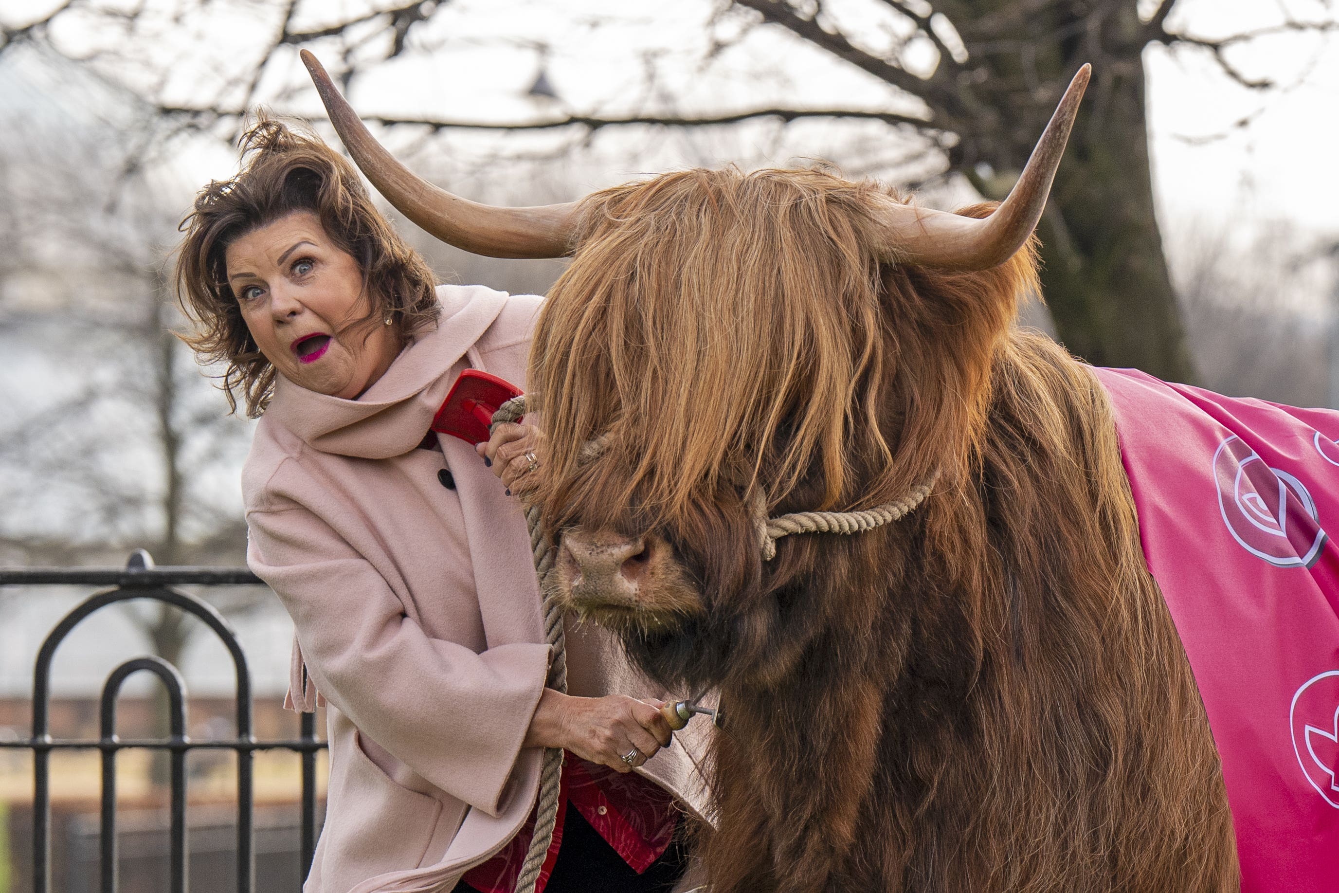 Elaine C Smith grazes a Highland cow on Glasgow Green to mark being given the Freedom of the City of Glasgow (Jane Barlow/PA)