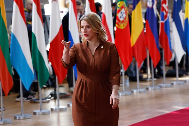 <p>Latvia's Prime Minister Evika Silina </p>