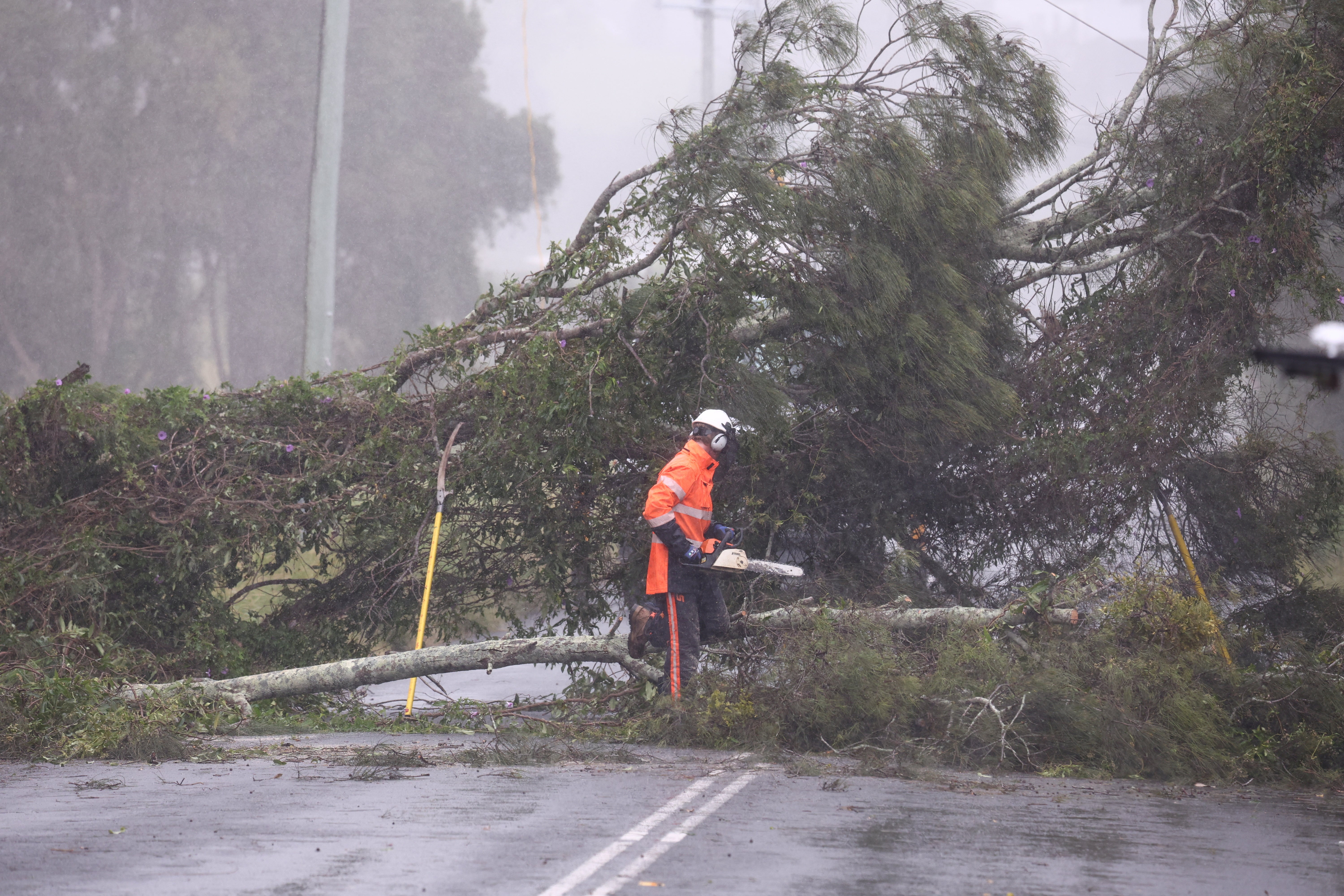 A worker repairs power lines damaged by a fallen tree ahead of Cyclone Alfred making landfall