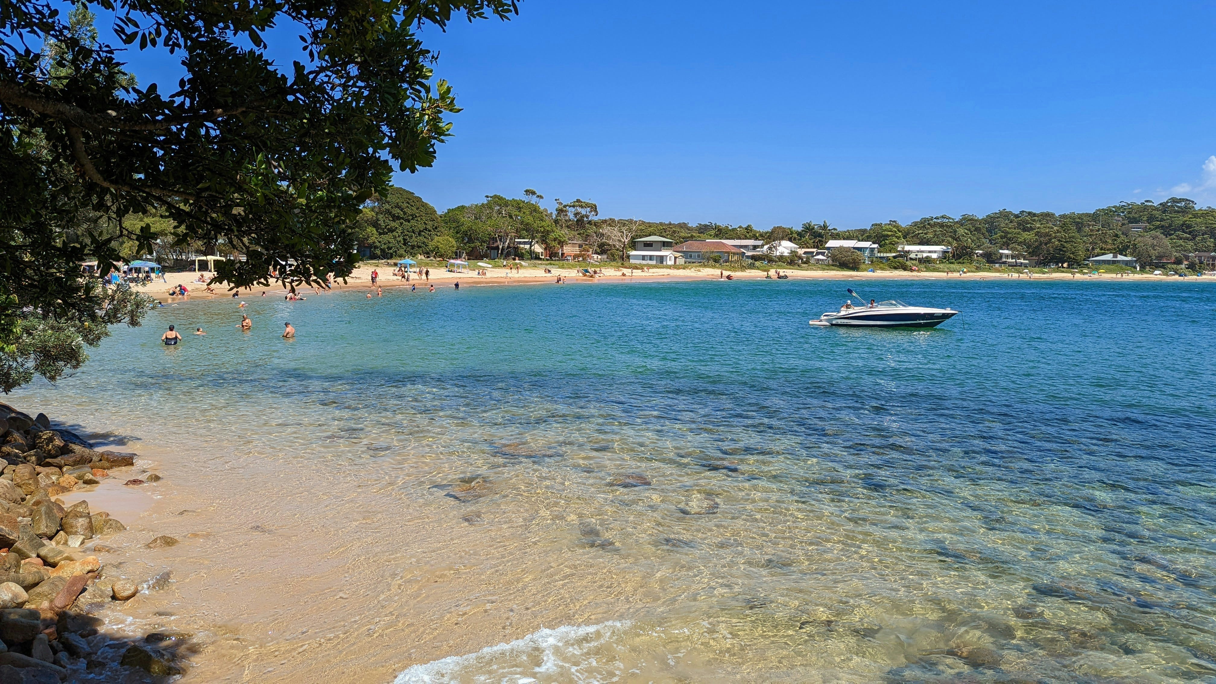 The woman was attacked by a shark while swimming on Friday afternoon local time (file photo)