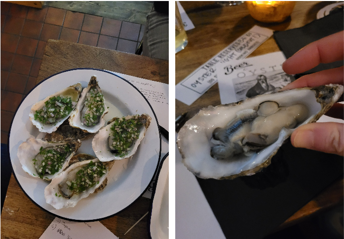 What the shuck? An oyster night leads to new friendships